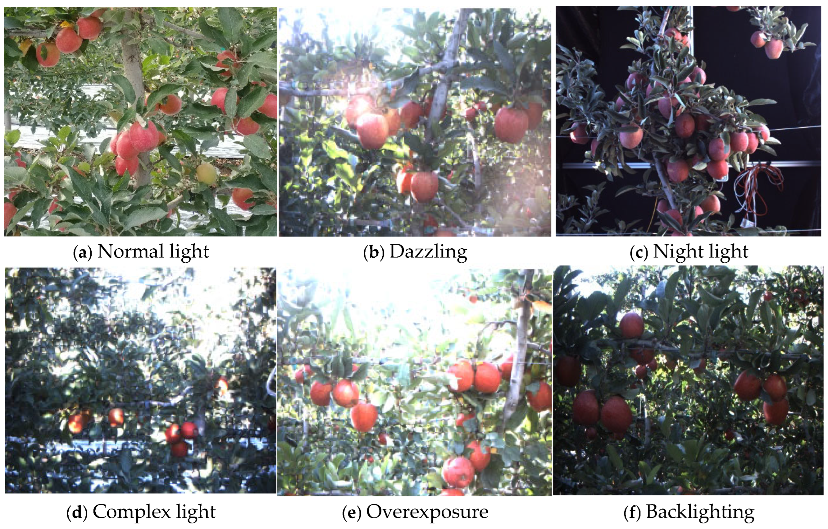 Agriculture 15 01104 g007