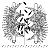 Agriculture 15 01129 i012