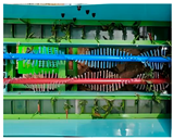 Agriculture 15 01129 i013