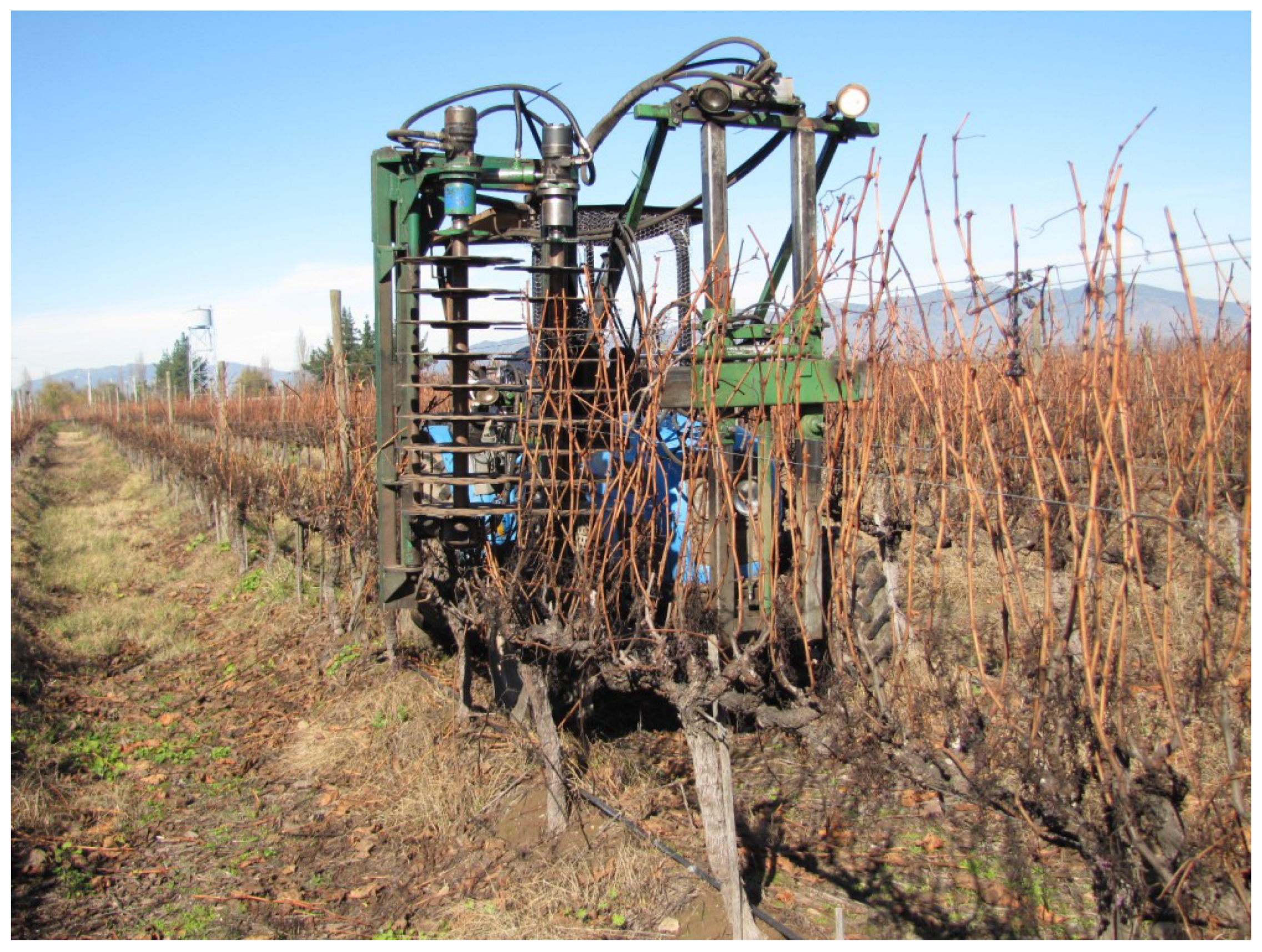 Agriculture 15 01154 g001