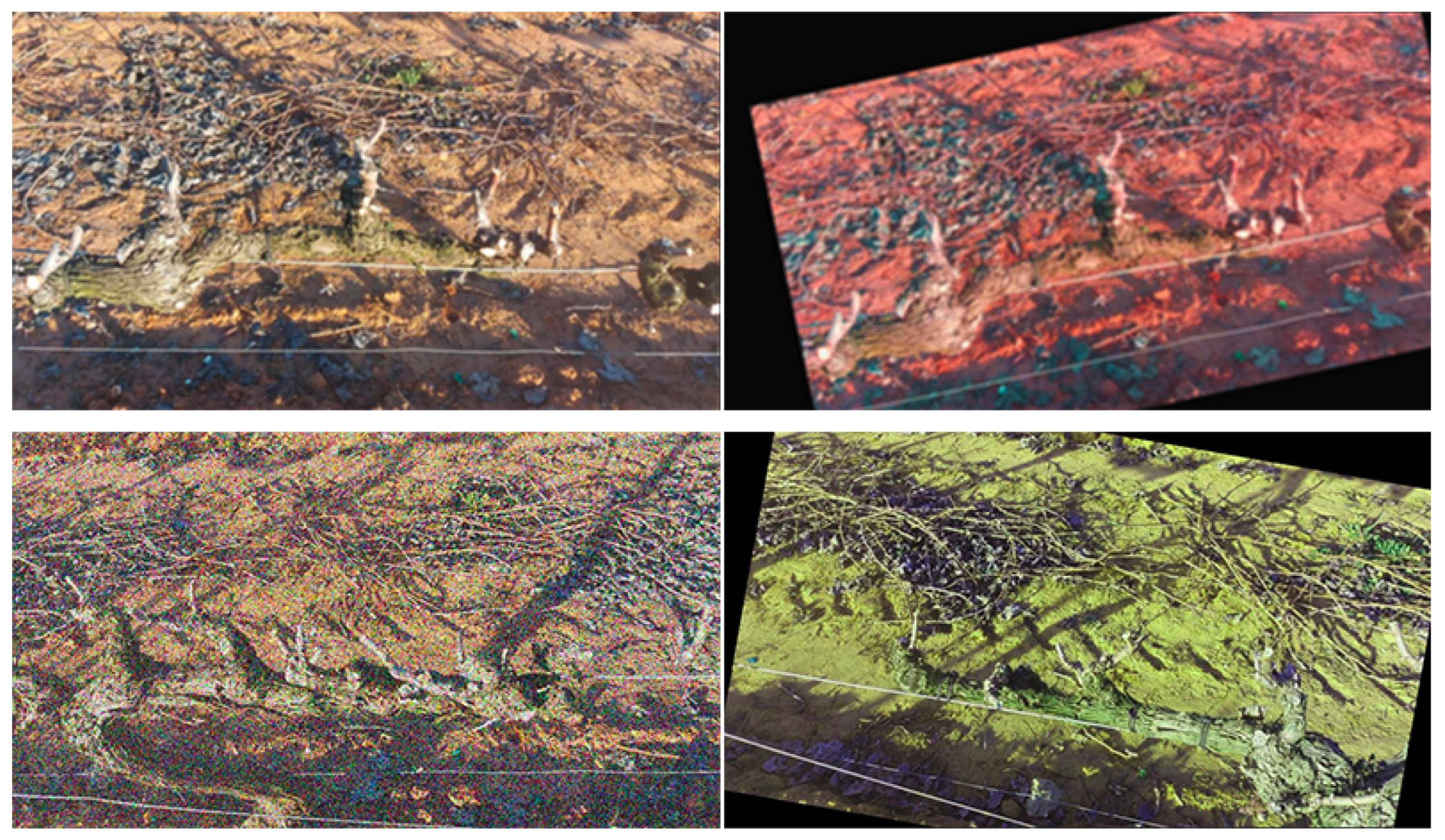 Agriculture 15 01154 g003