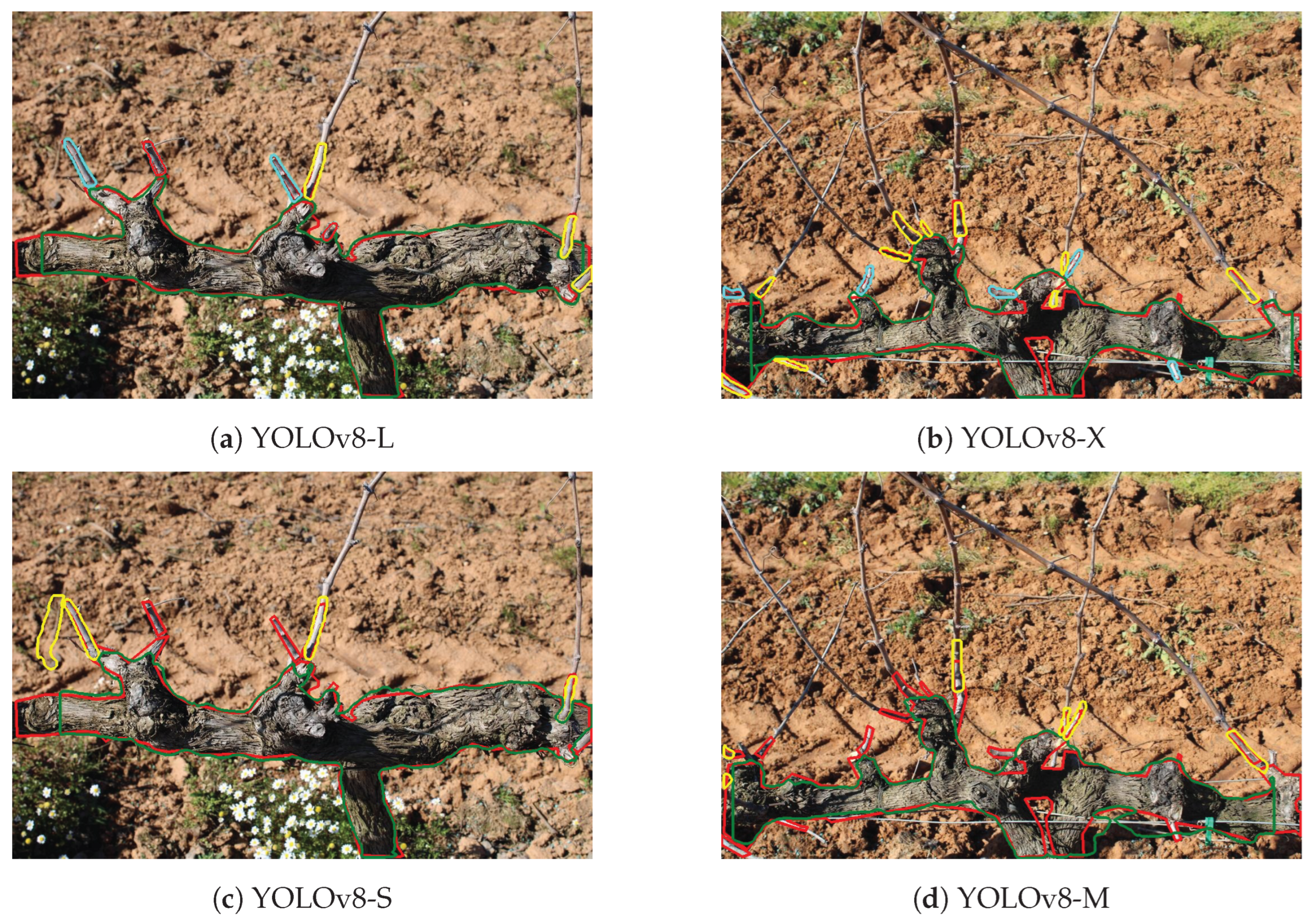 Agriculture 15 01154 g006