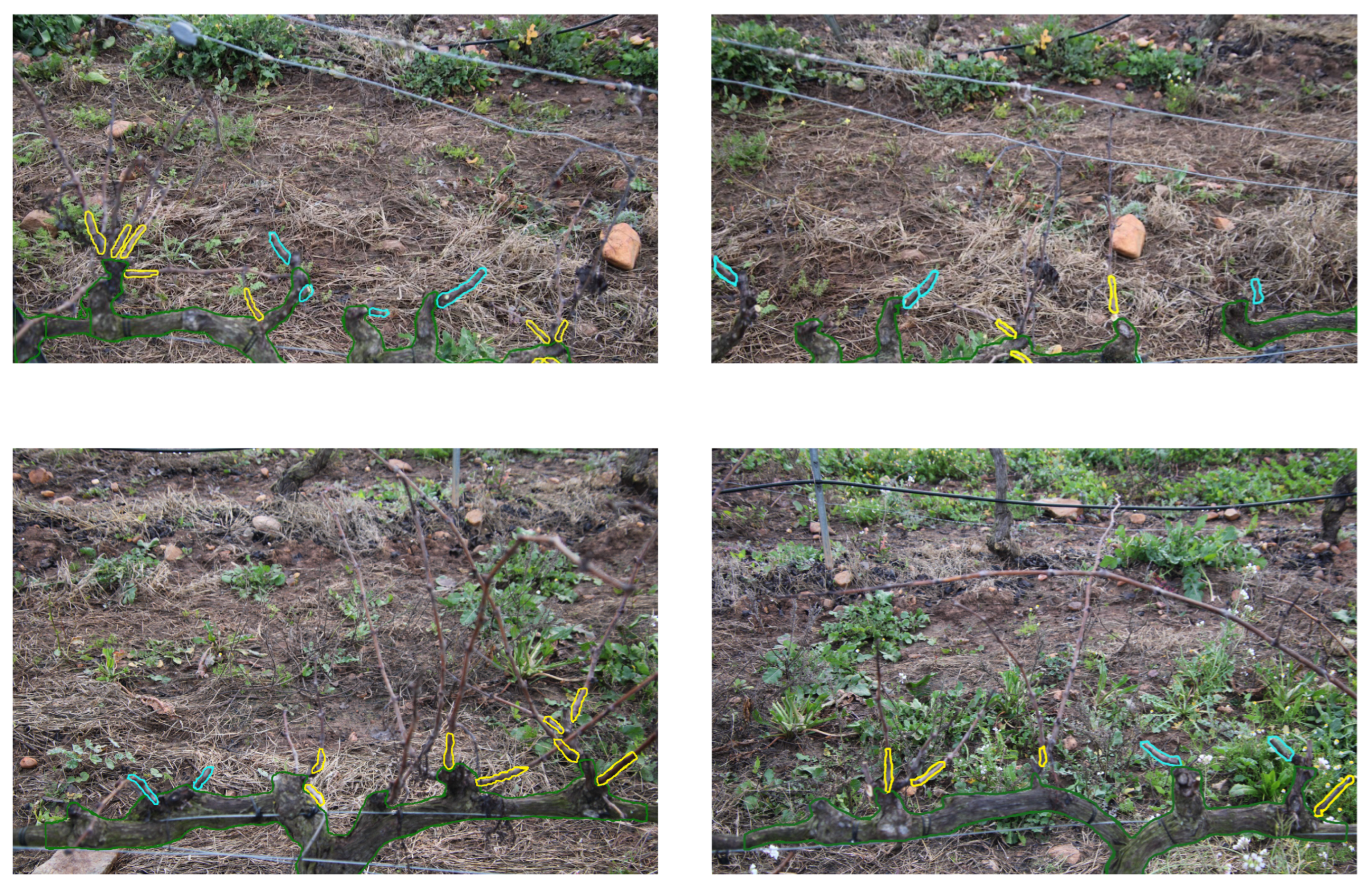 Agriculture 15 01154 i001