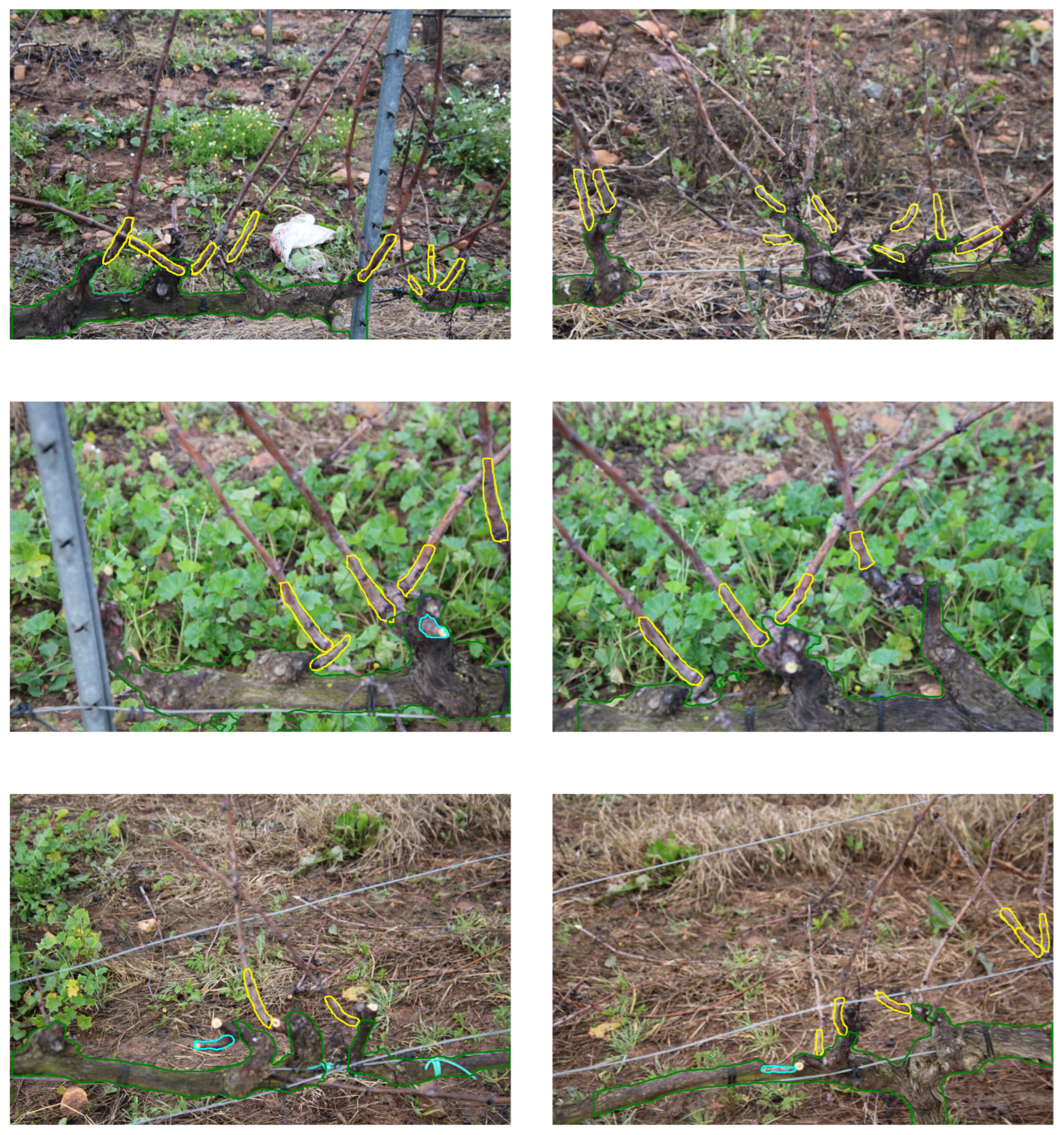 Agriculture 15 01154 i002