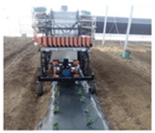 Agriculture 15 01158 i007