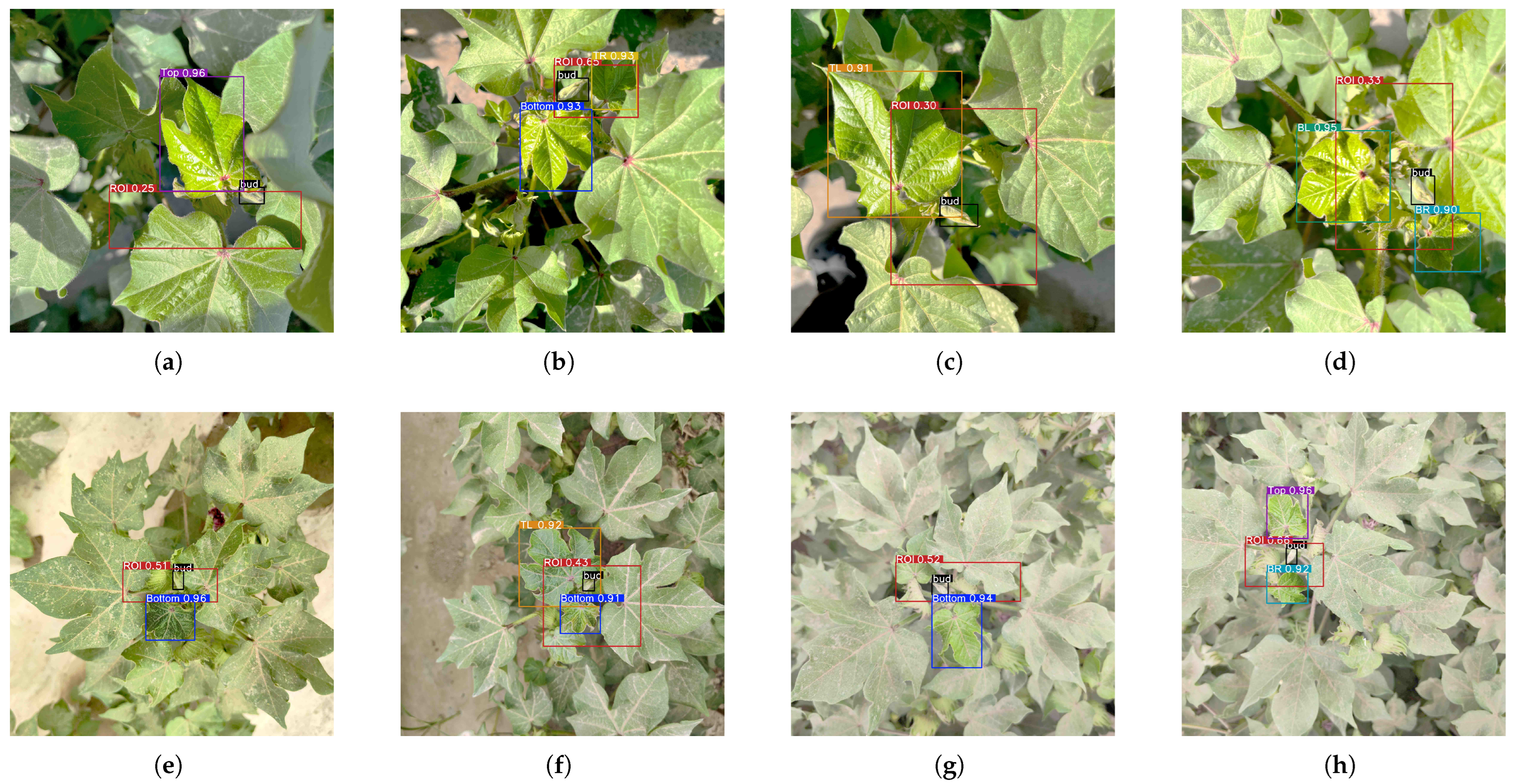 Agriculture 15 01254 g014