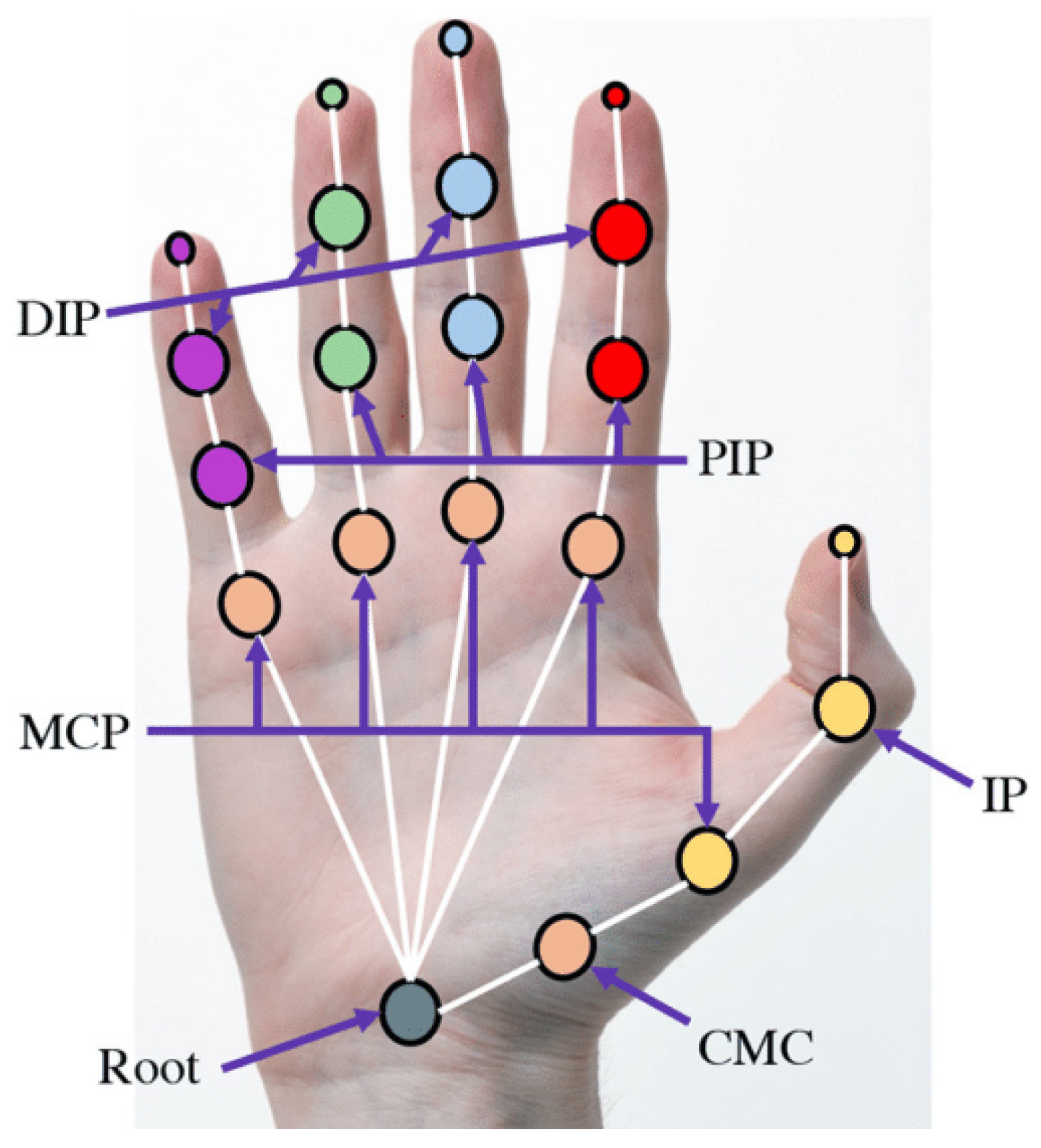 Agriculture 15 01290 g005