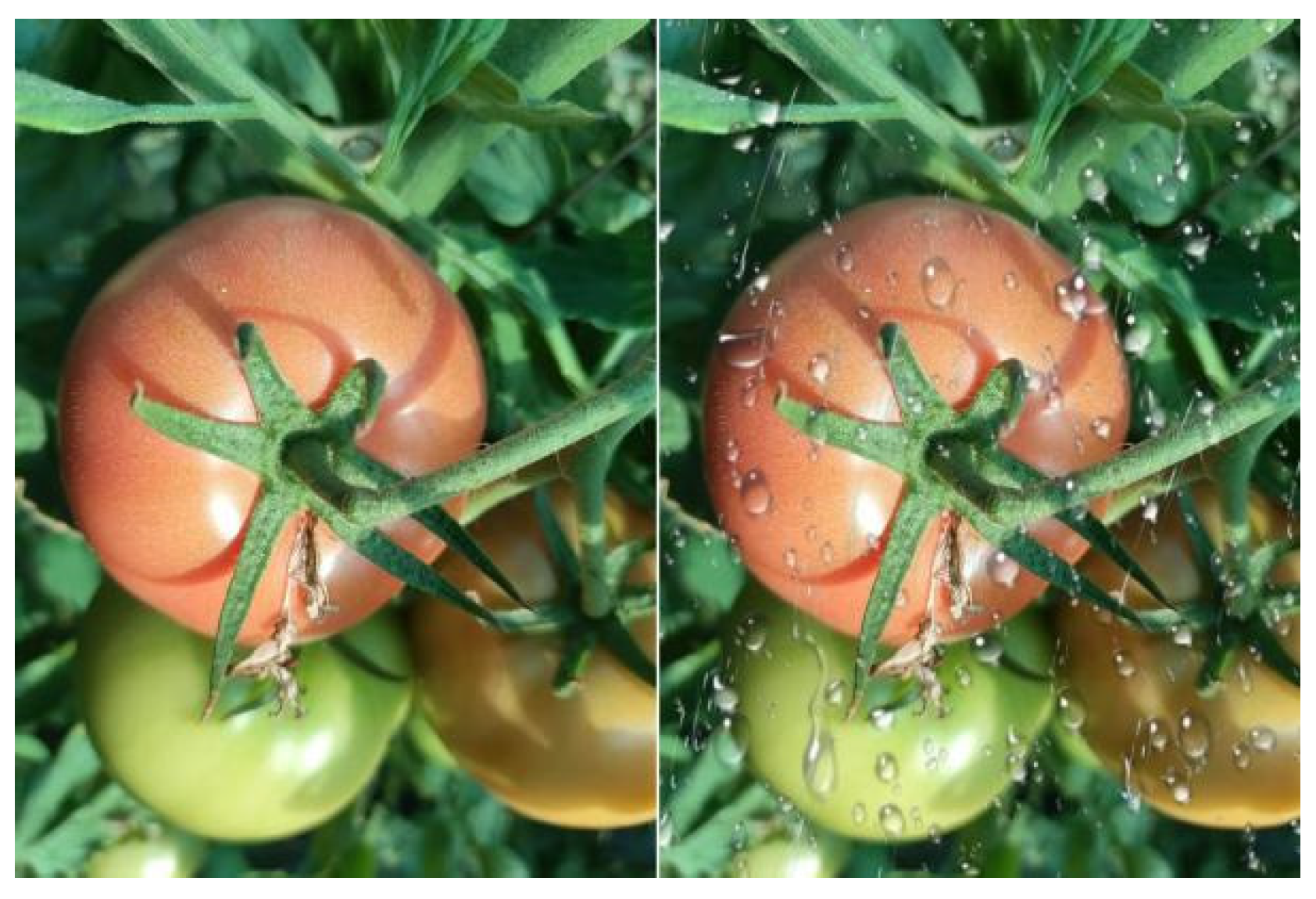 Agriculture 15 01310 g002