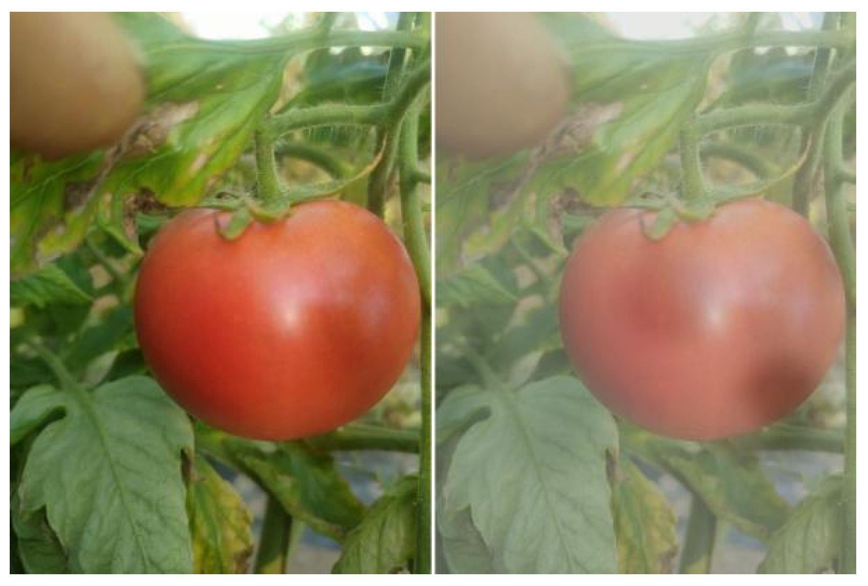 Agriculture 15 01310 g003