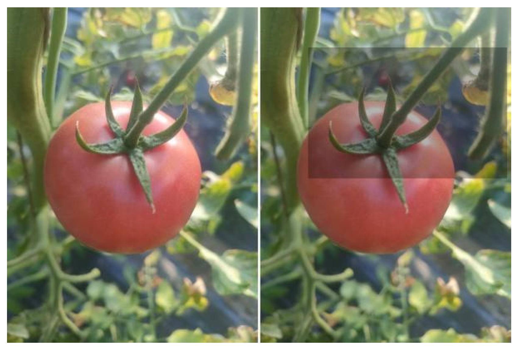 Agriculture 15 01310 g005