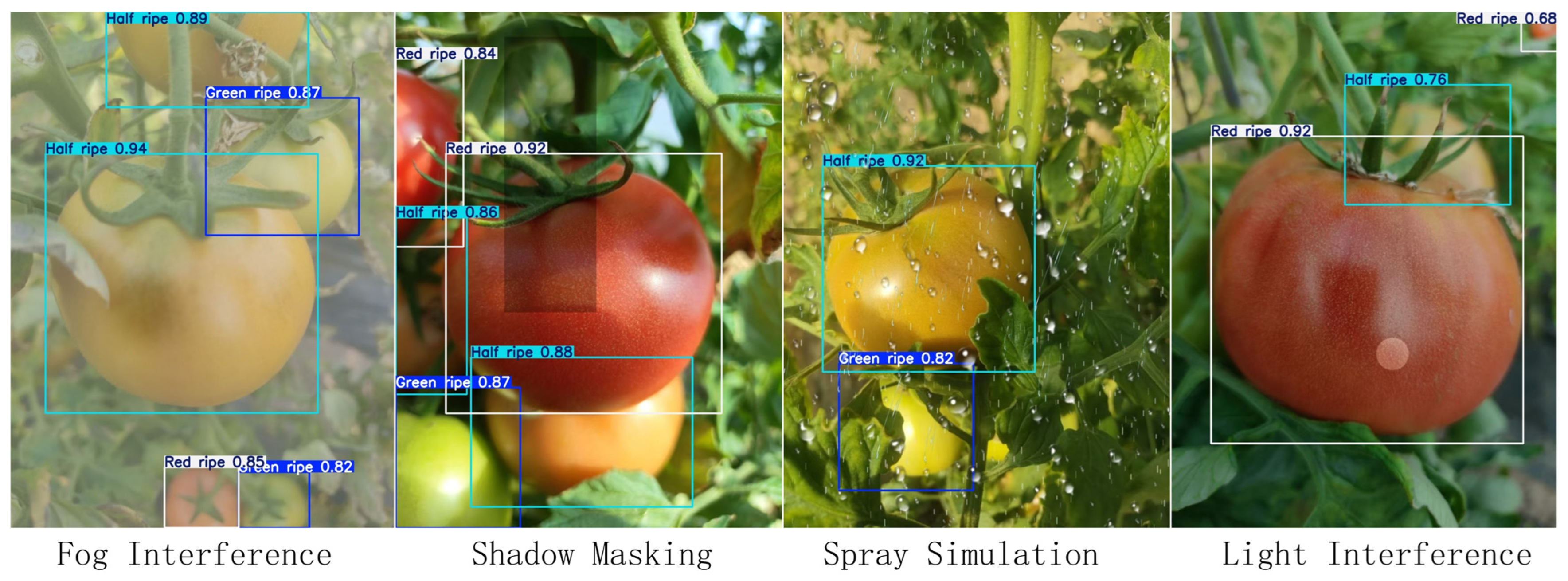 Agriculture 15 01310 g020