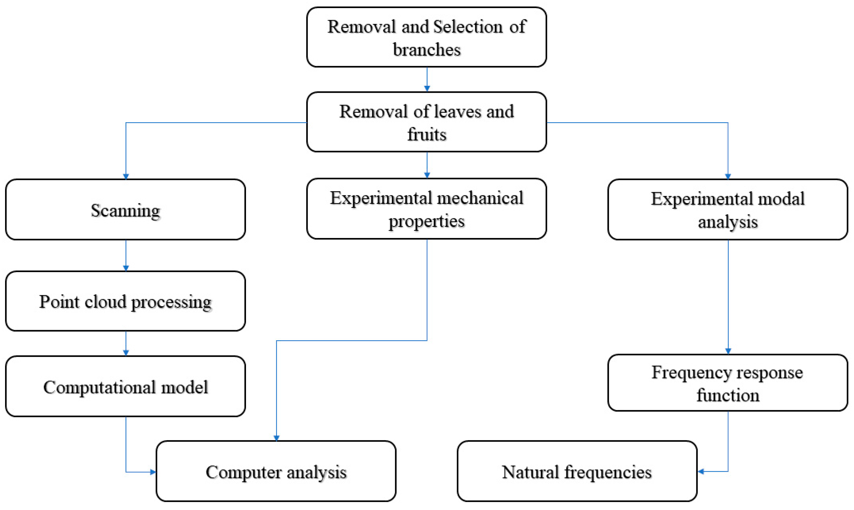 Agriculture 15 01326 g001