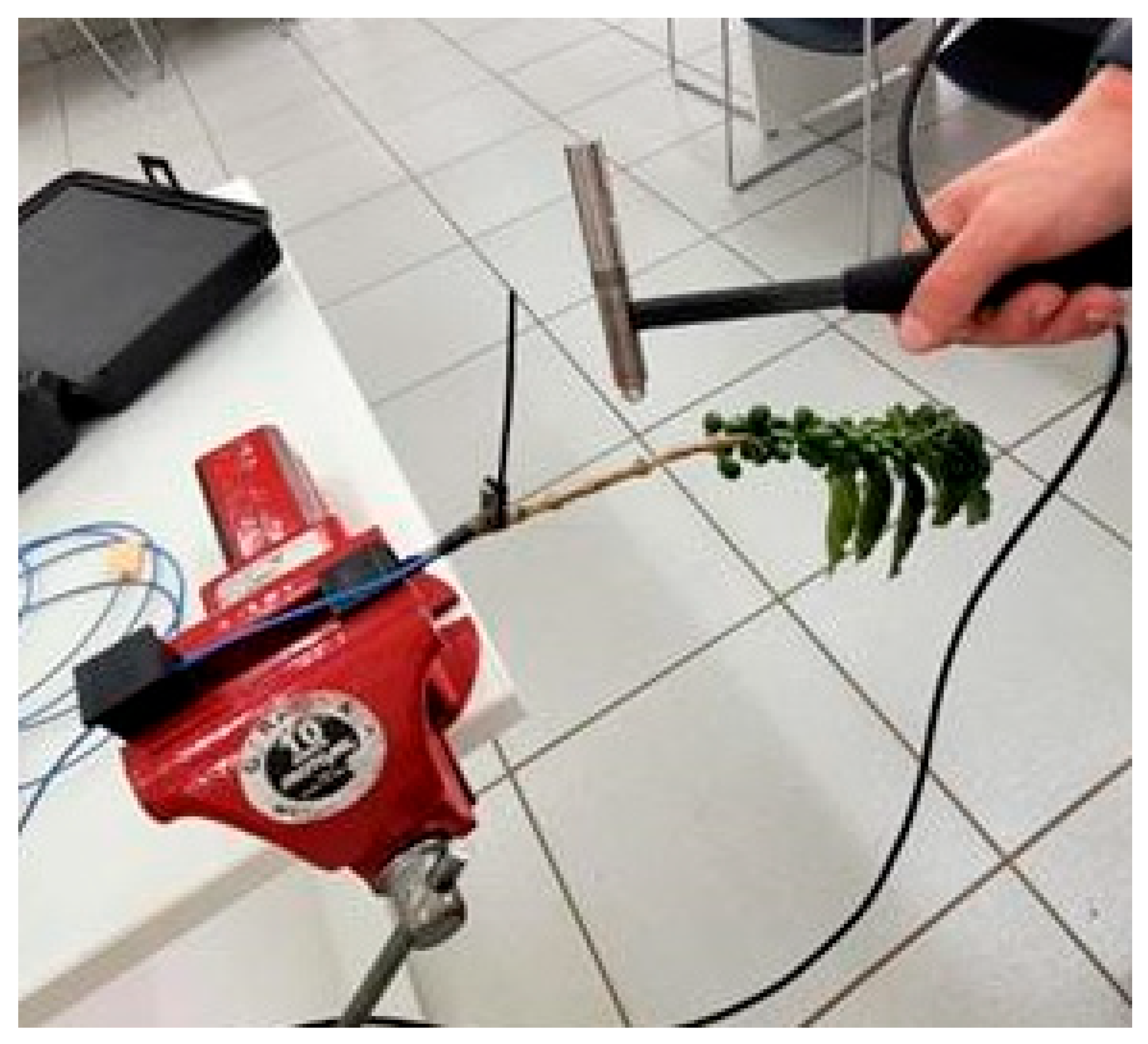 Agriculture 15 01326 g007