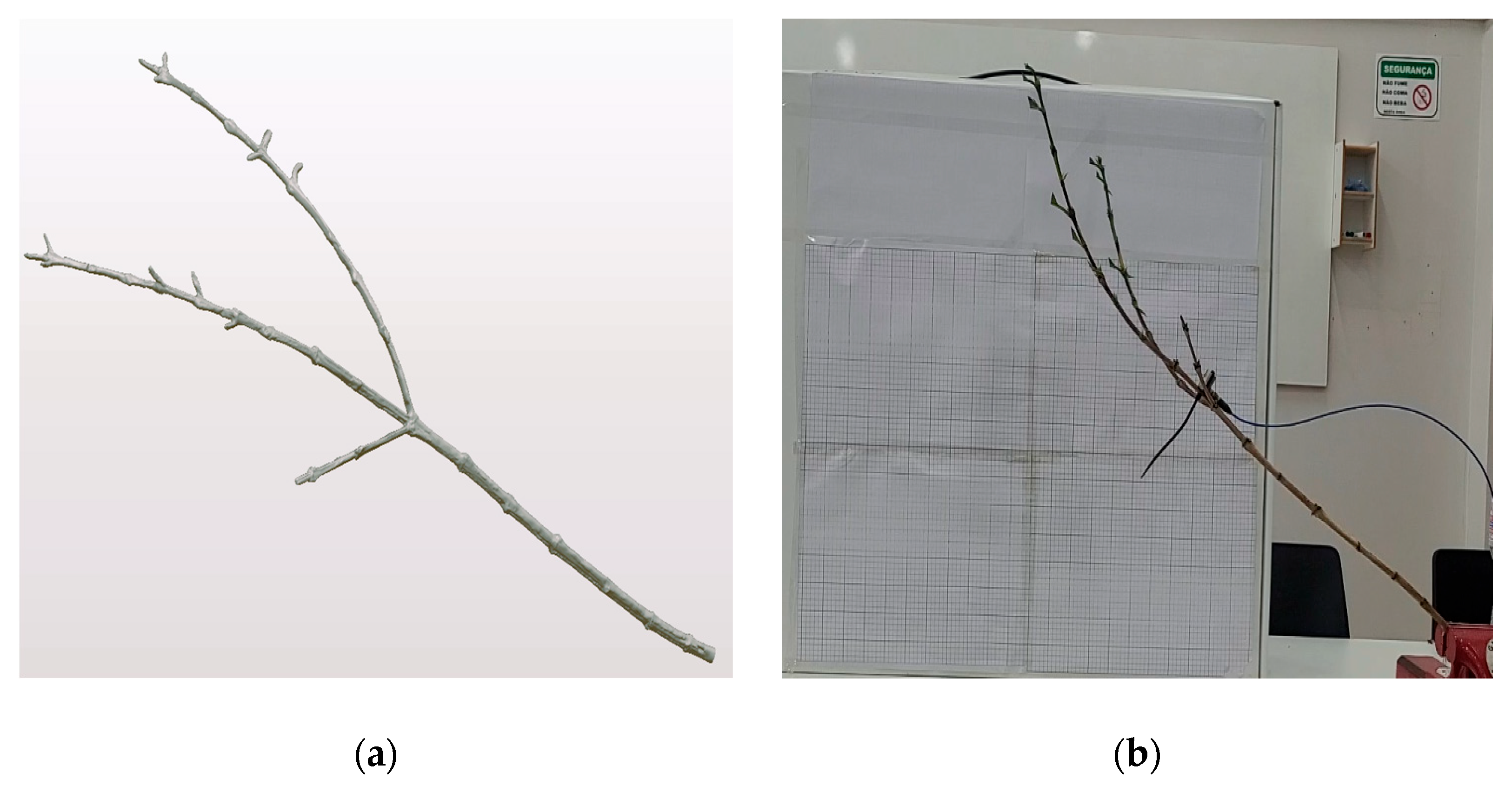 Agriculture 15 01326 g026