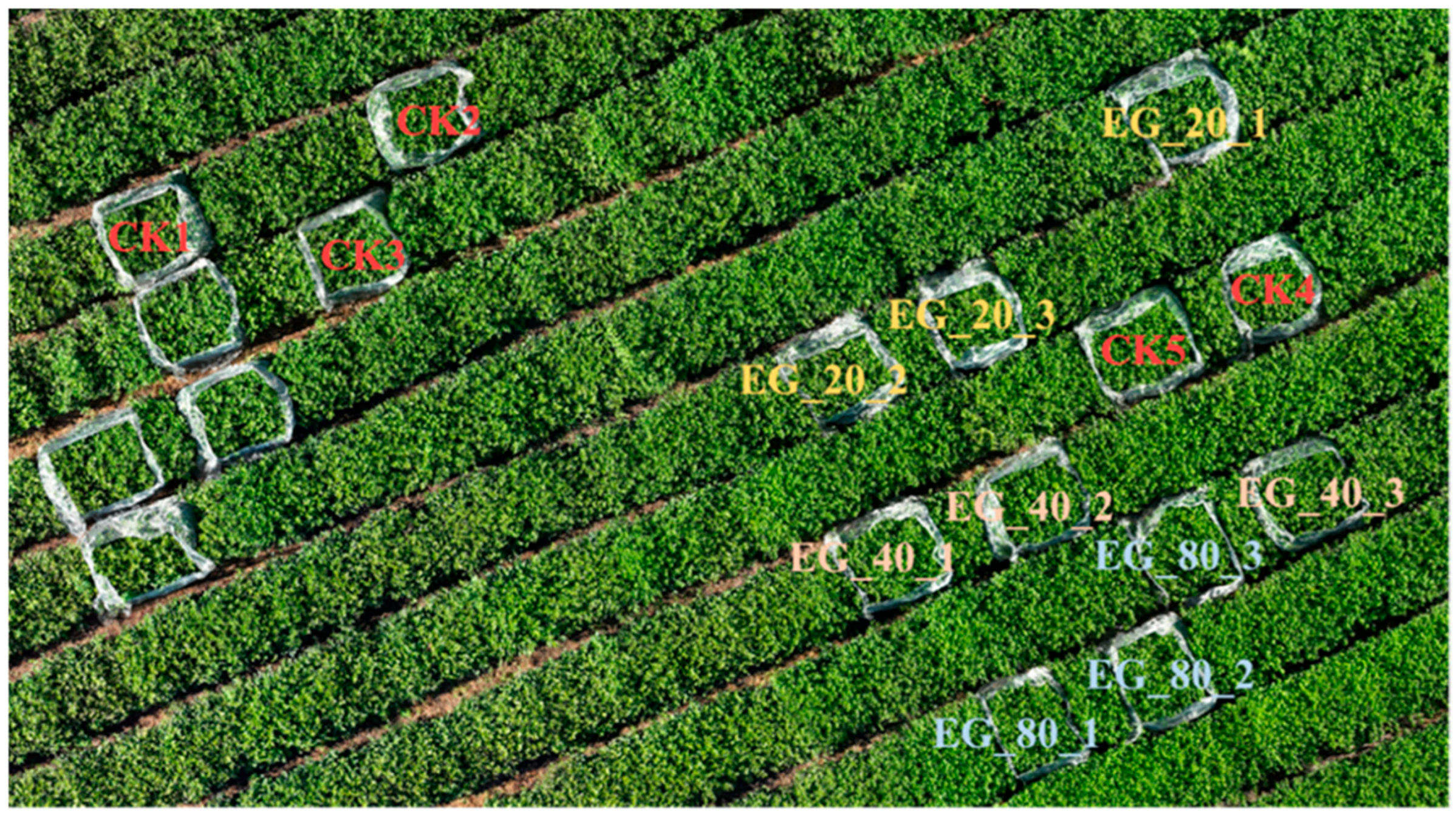 Agriculture 15 01349 g001