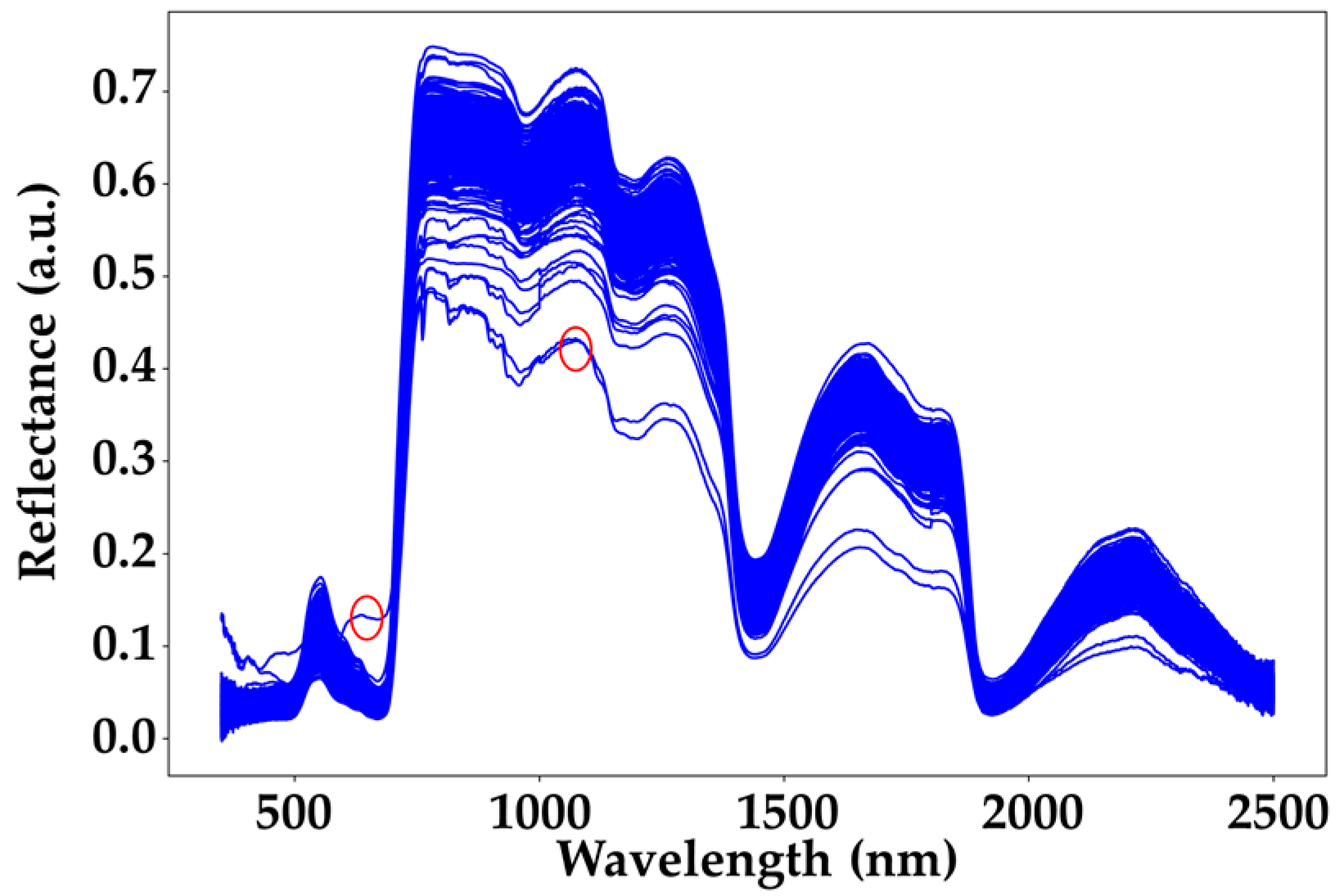 Agriculture 15 01349 g006