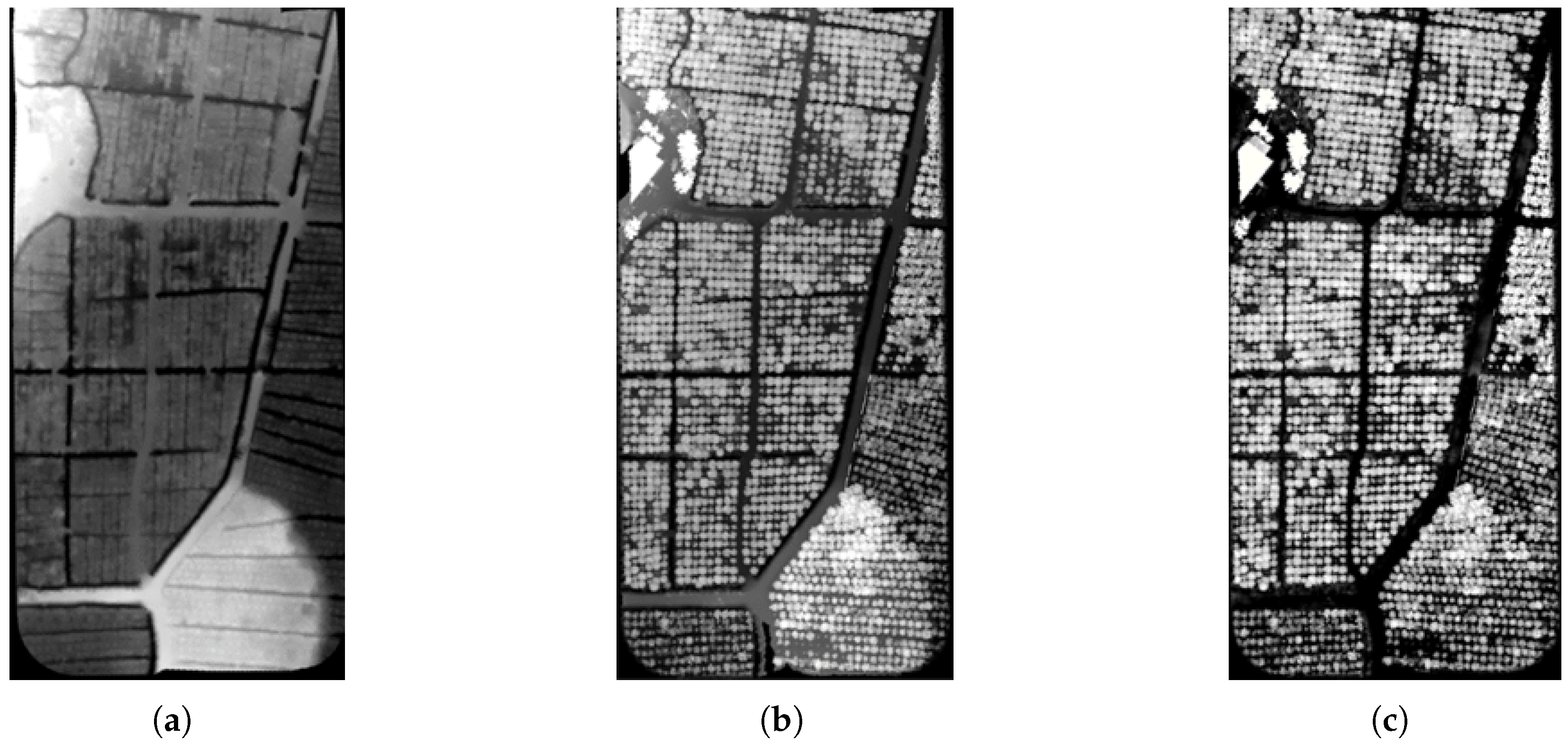 Agriculture 15 01374 g007