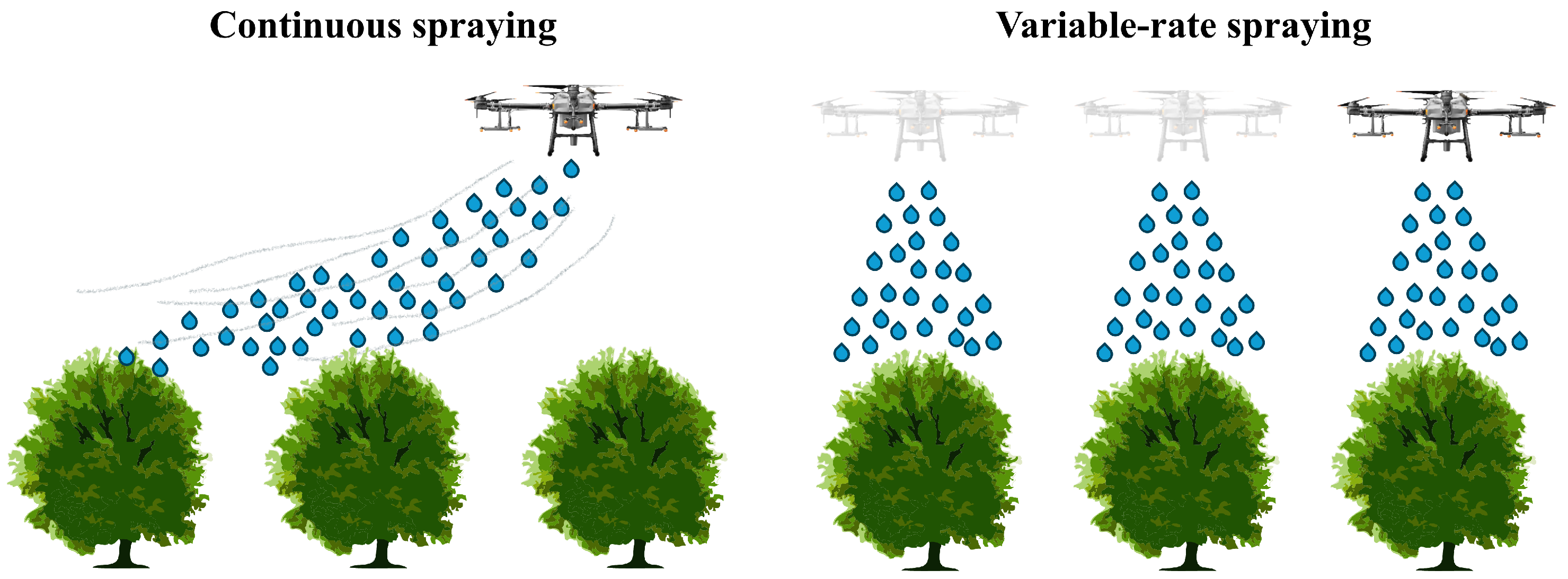 Agriculture 15 01374 g009