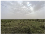 Agriculture 15 01376 i002 Agriculture 15 01376 i002