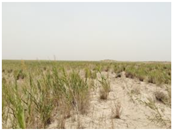 Agriculture 15 01376 i004 Agriculture 15 01376 i004