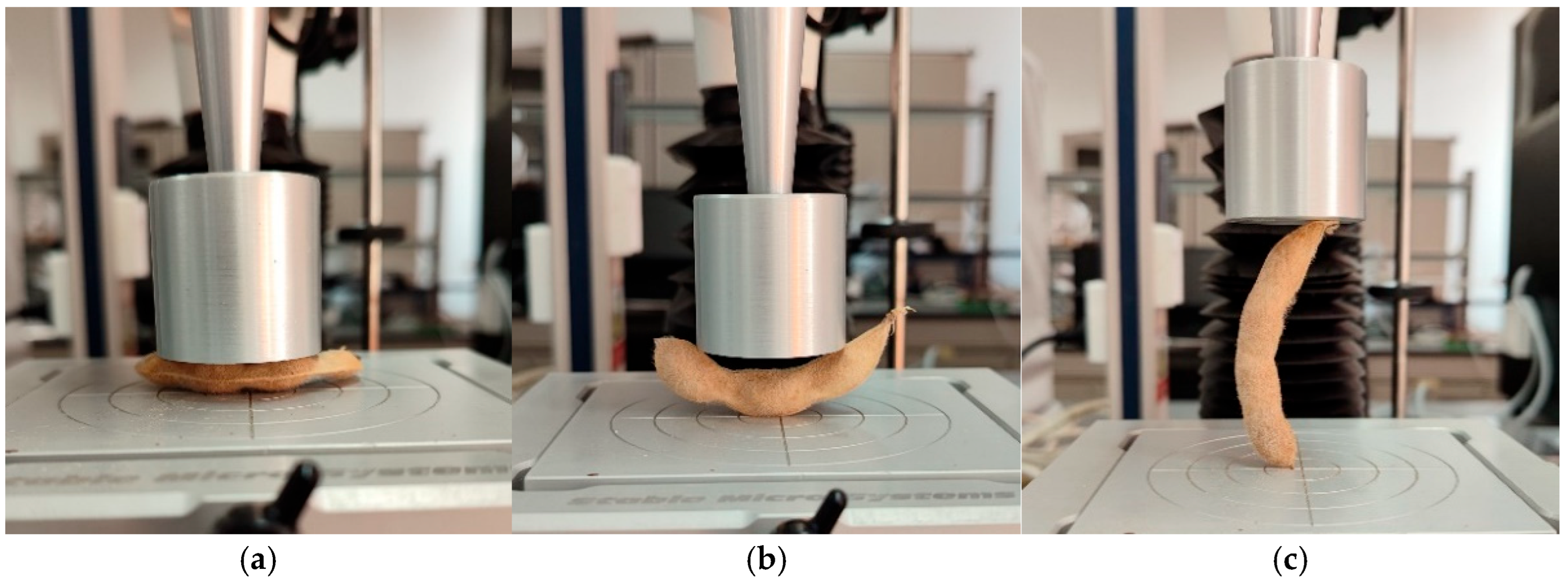 Agriculture 15 01378 g002