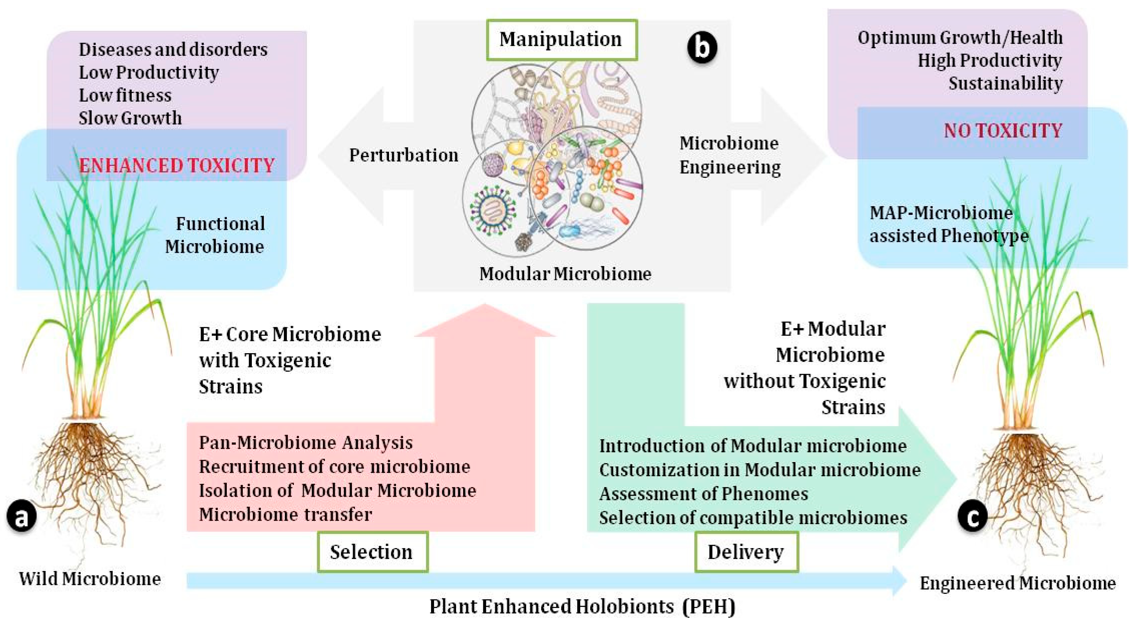 Agriculture 15 01393 g002