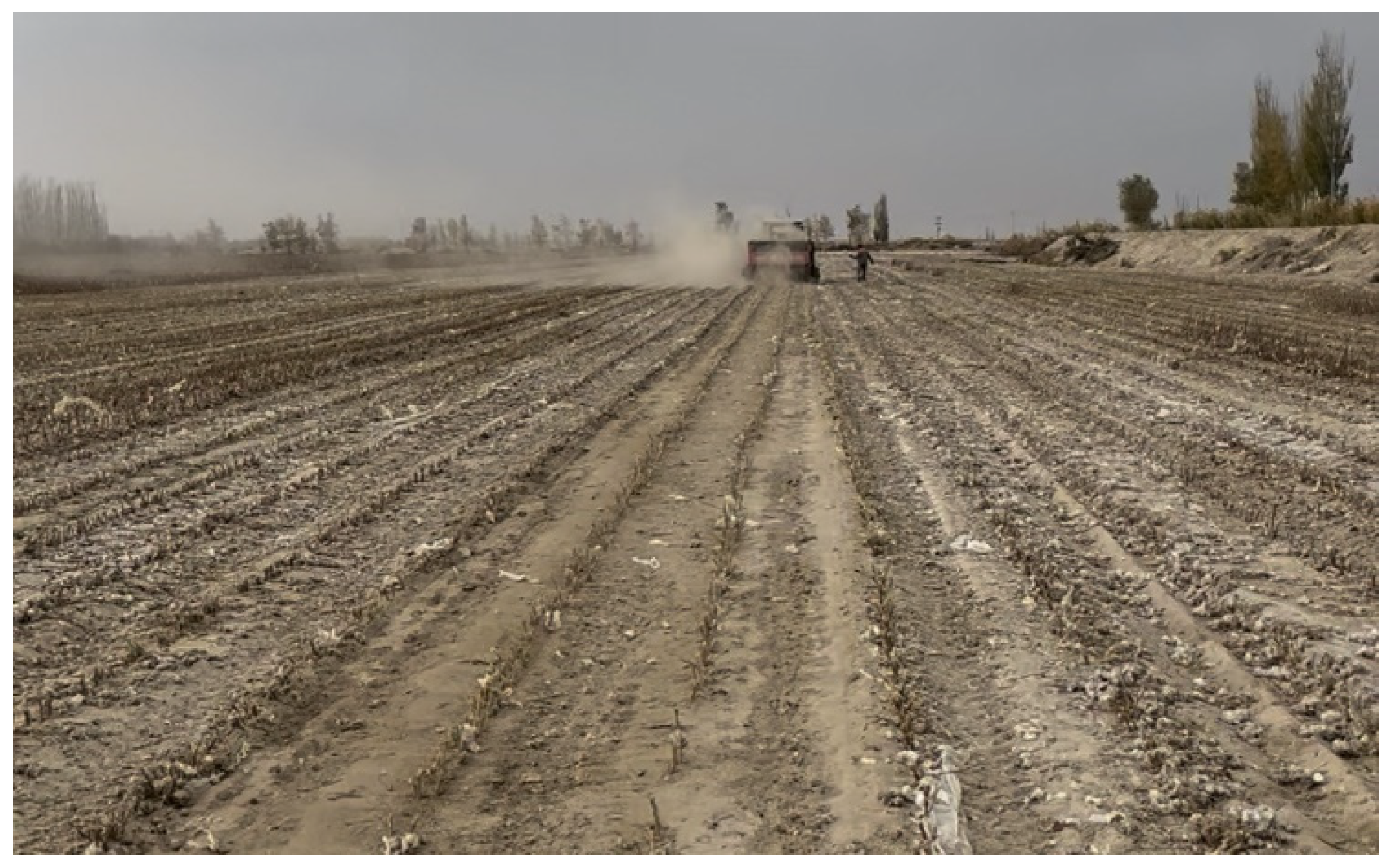 Agriculture 15 01422 g013 Agriculture 15 01422 g013