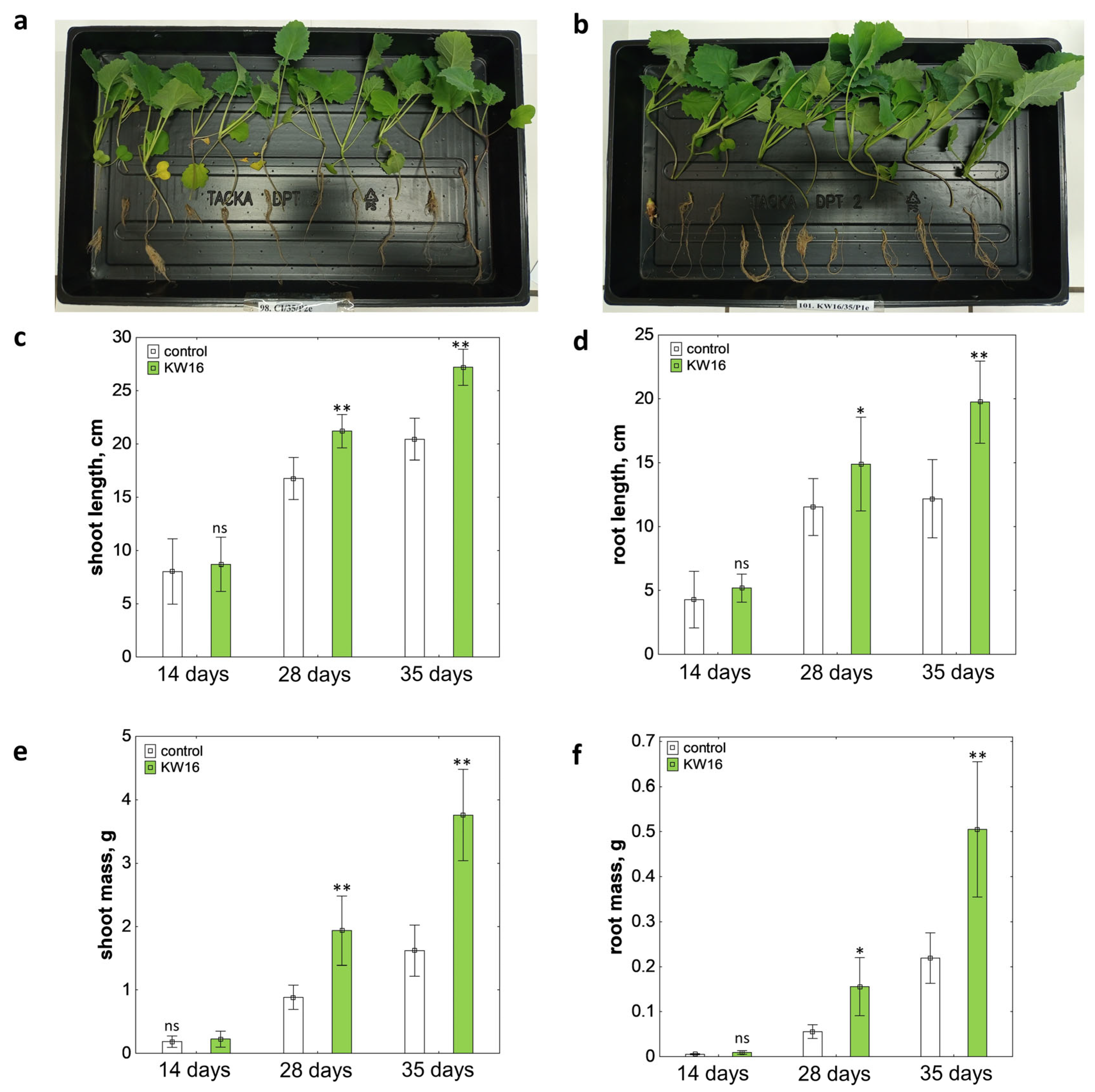 Agriculture 15 01435 g002