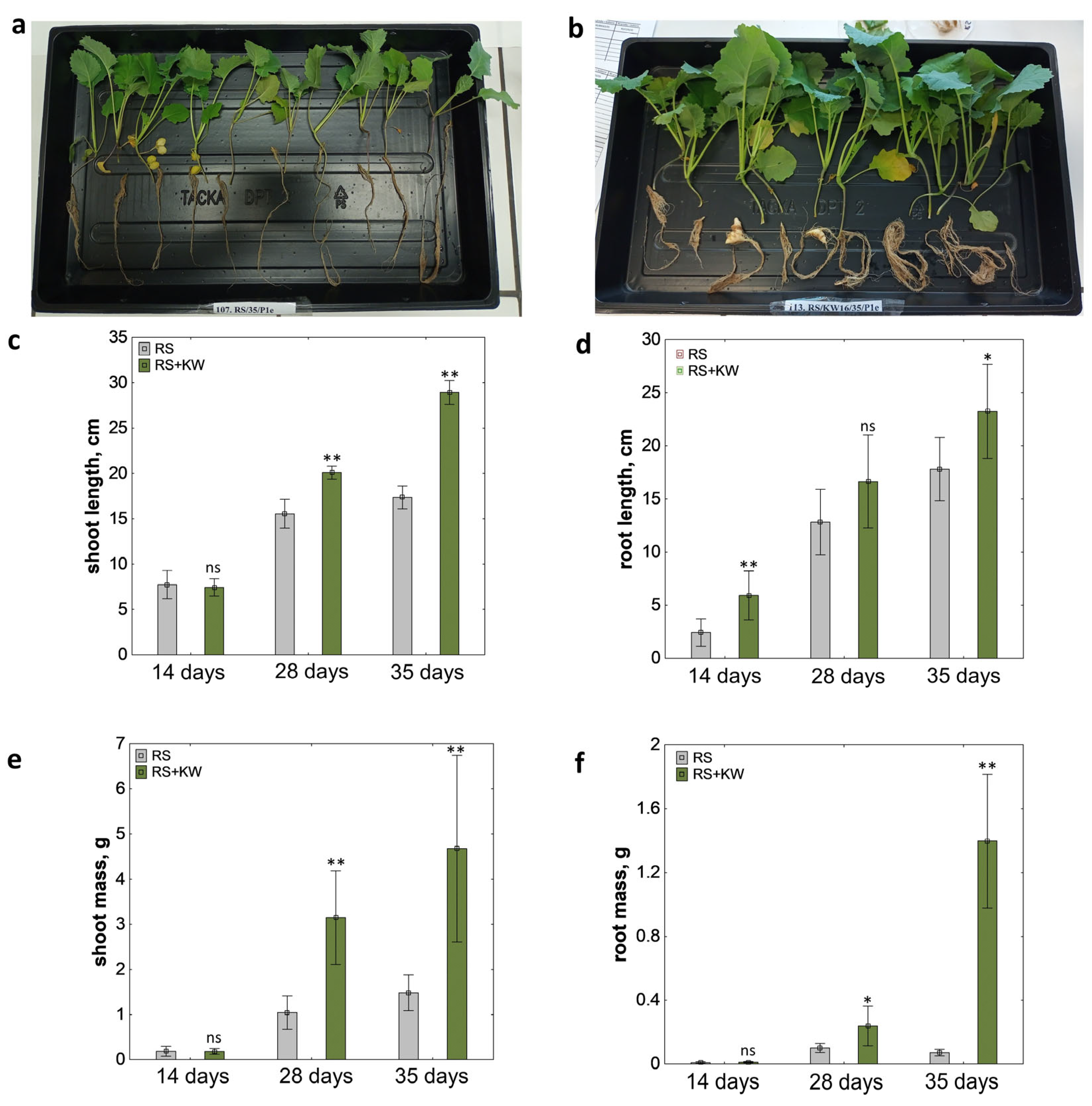 Agriculture 15 01435 g003