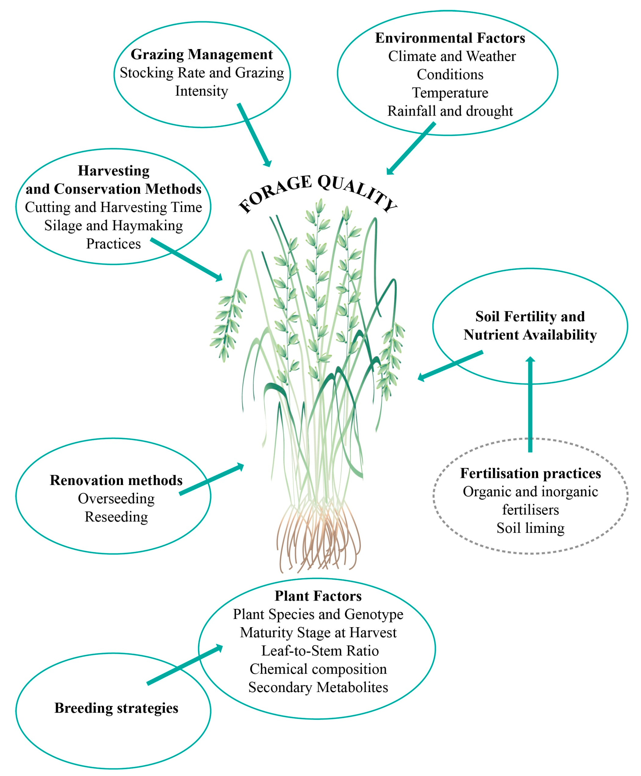 Agriculture 15 01438 g002