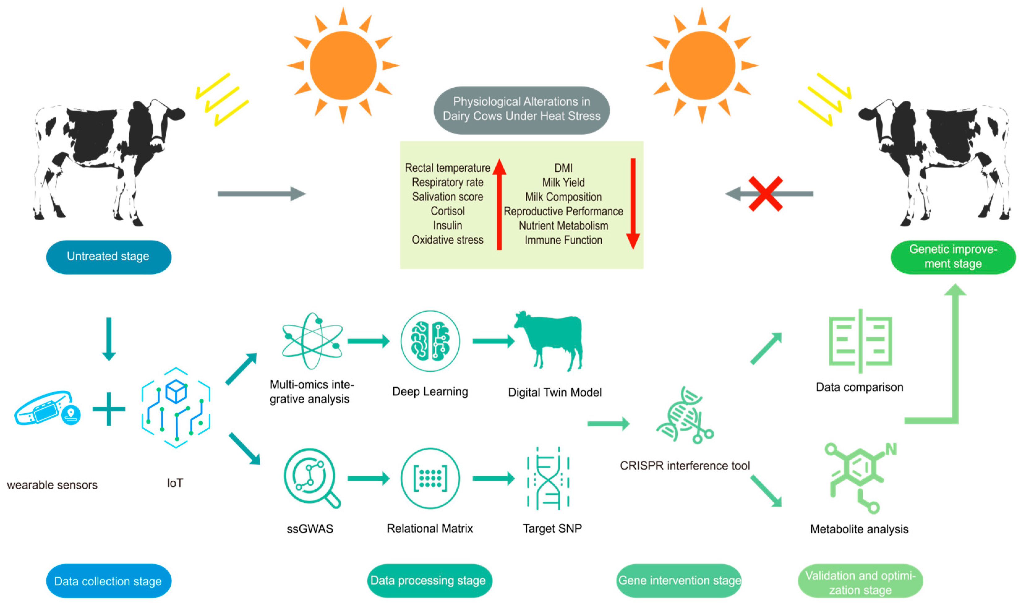 Agriculture 15 01477 g002