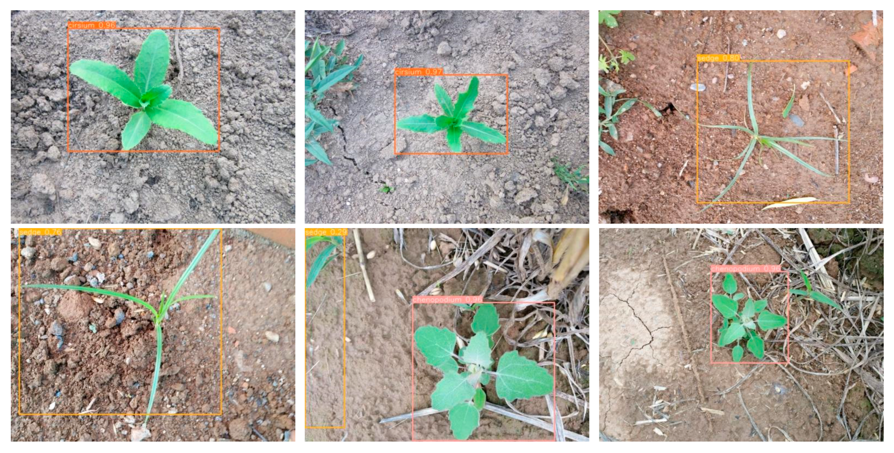 Agriculture 15 01549 g015