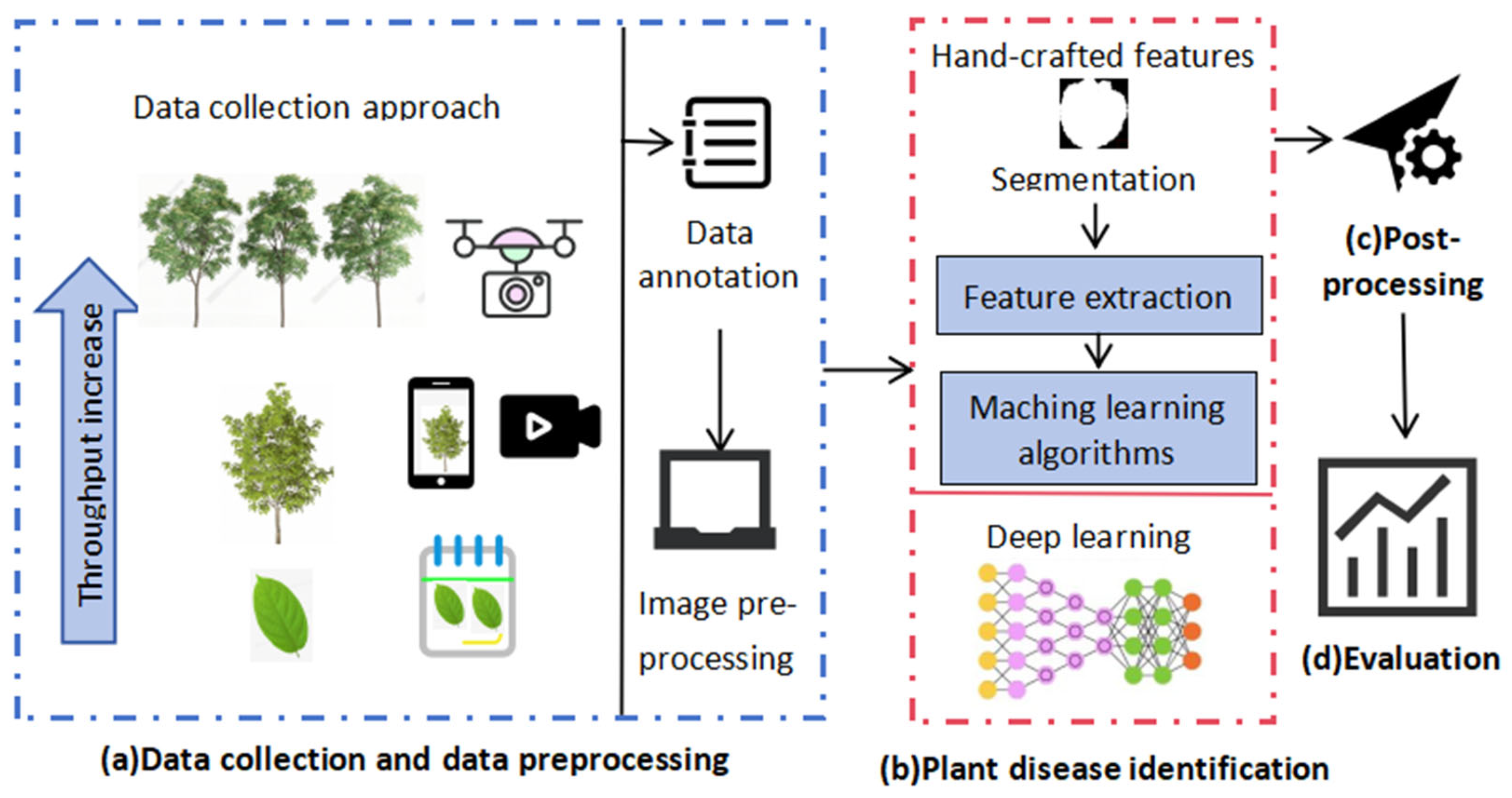 Application of Non-Destructive Technology in Plant Disease Detection ...