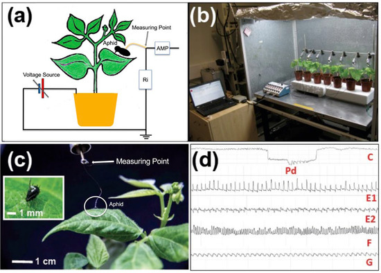 Agriculture 15 01808 g003