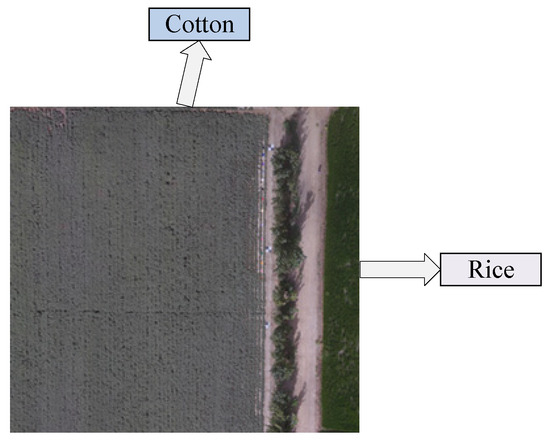 Agriculture 15 01814 g0a2