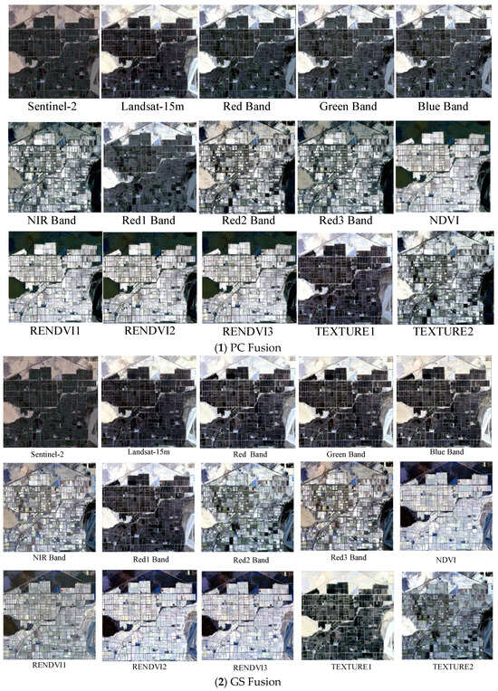 Agriculture 15 01814 g0a4a Agriculture 15 01814 g0a4a