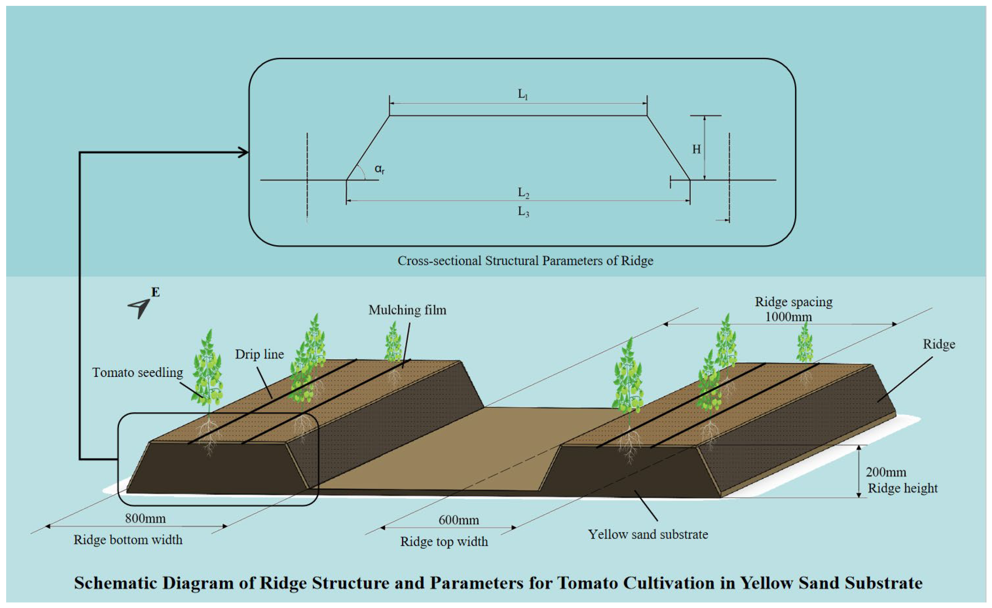 Agriculture 15 02103 g001