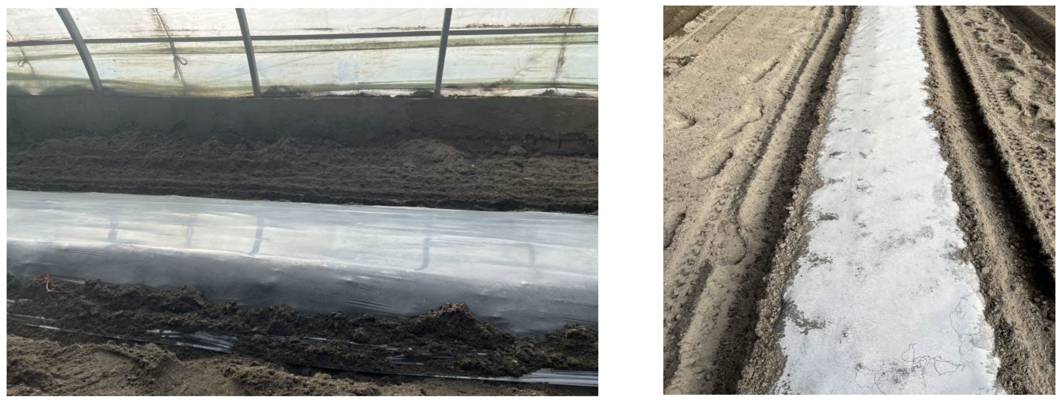 Agriculture 15 02103 g023