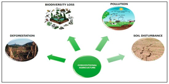 Agriculture 15 02125 g002