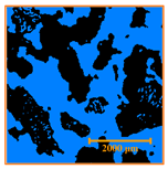 Agriculture 15 02154 i003