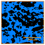 Agriculture 15 02154 i008