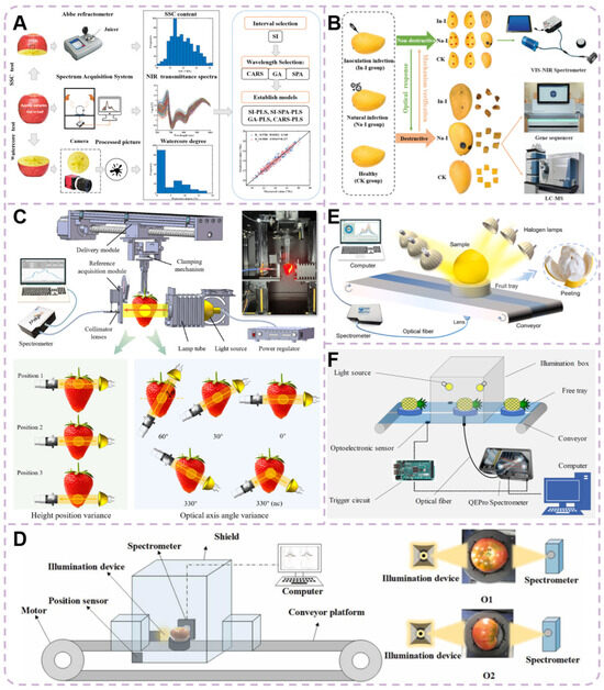 Agriculture 15 02167 g004