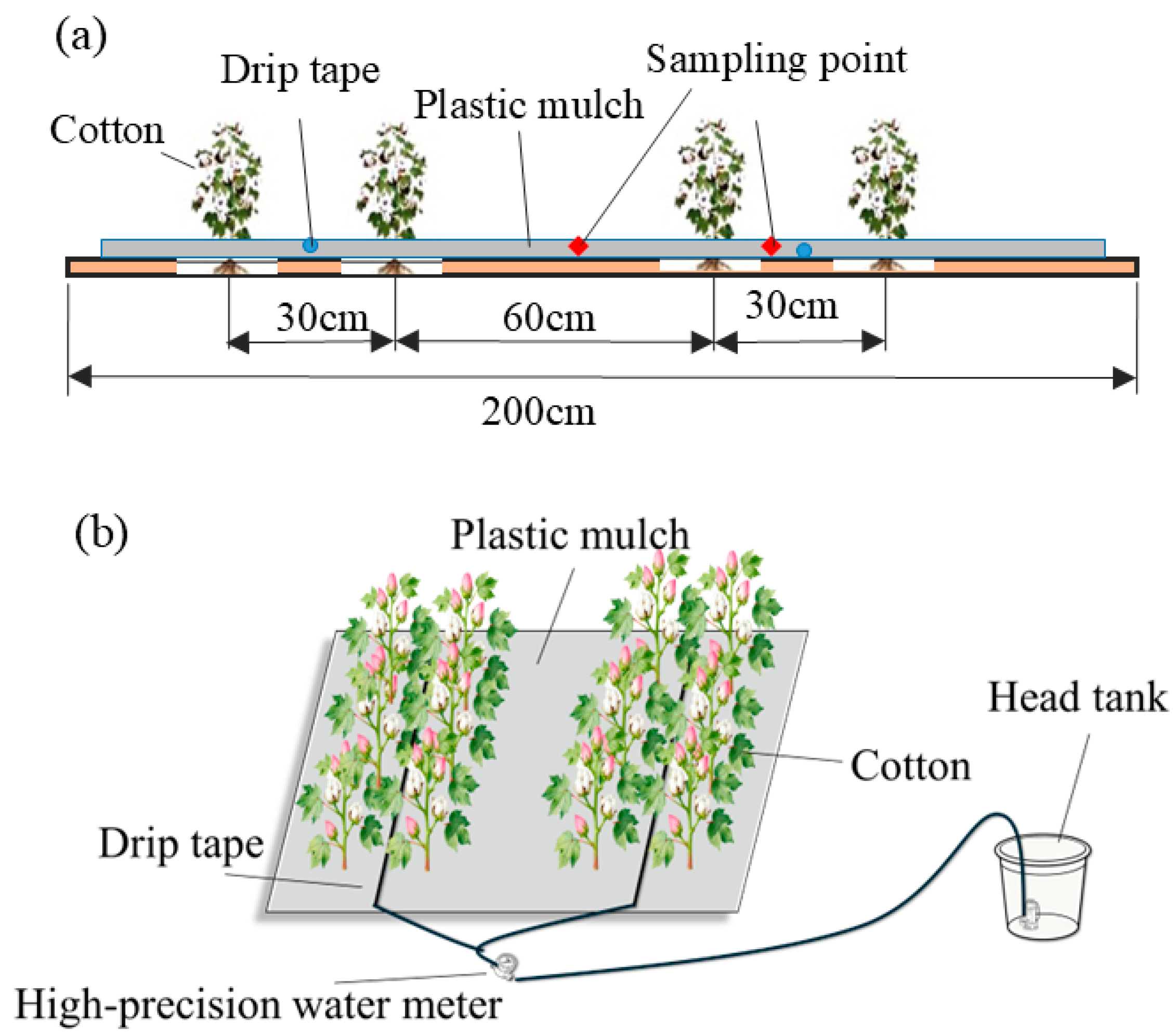Agriculture 15 02178 g002