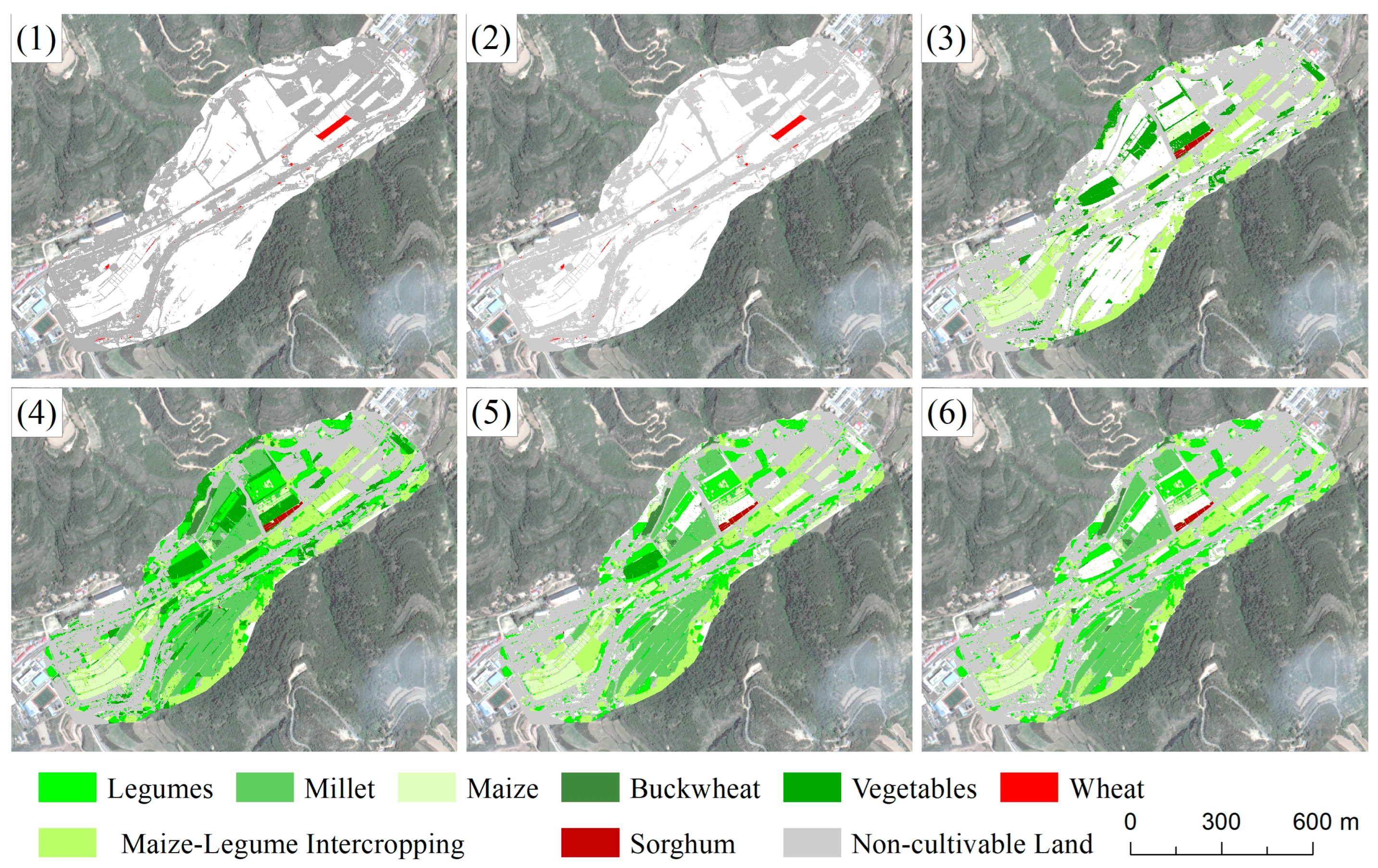 Agriculture 15 02186 g007