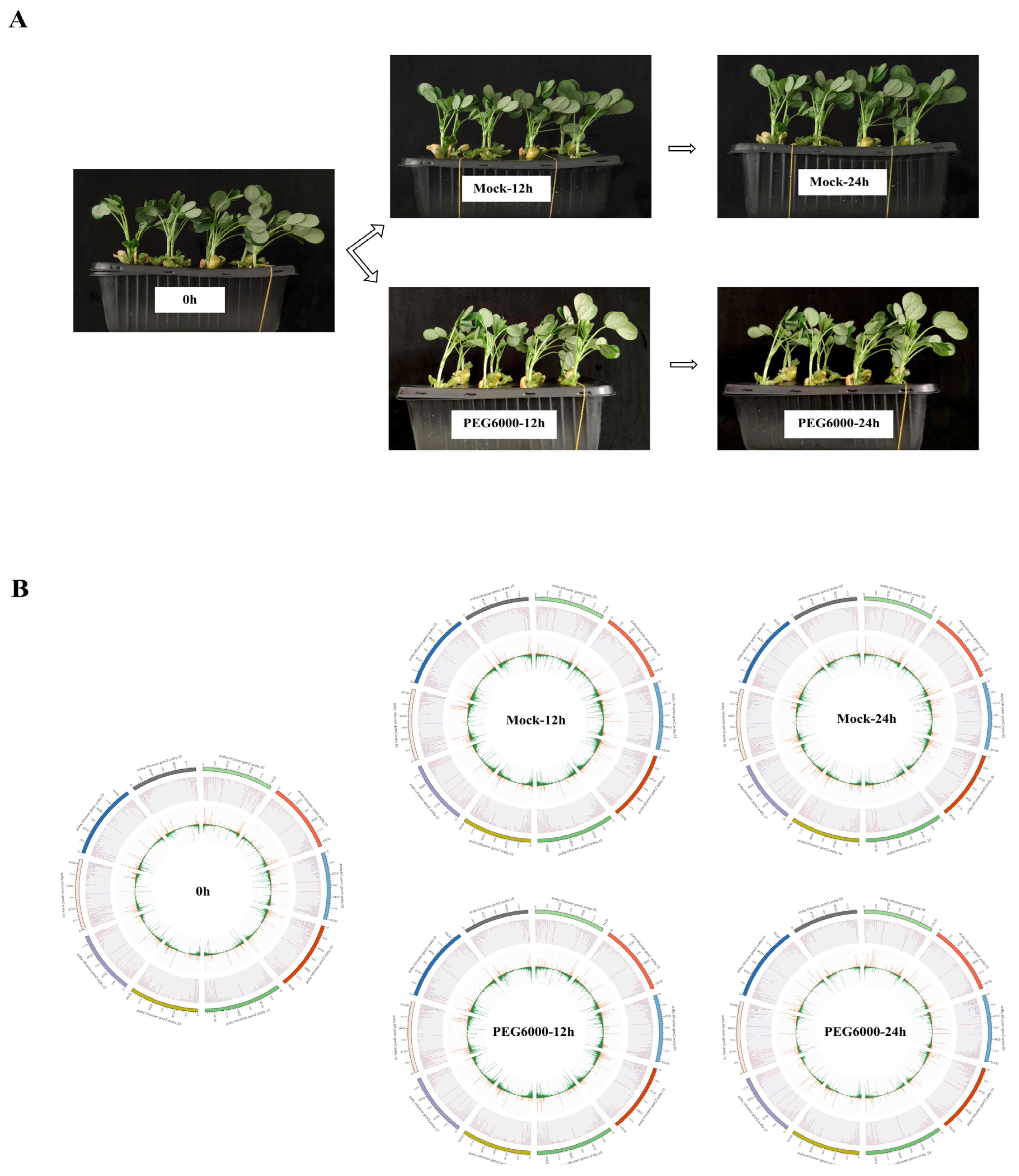 Agriculture 15 02190 g001