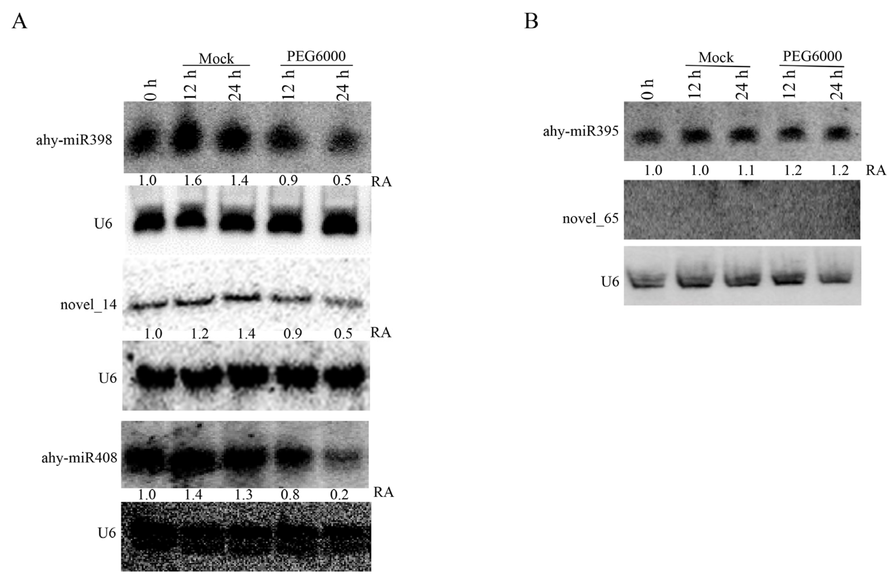 Agriculture 15 02190 g003