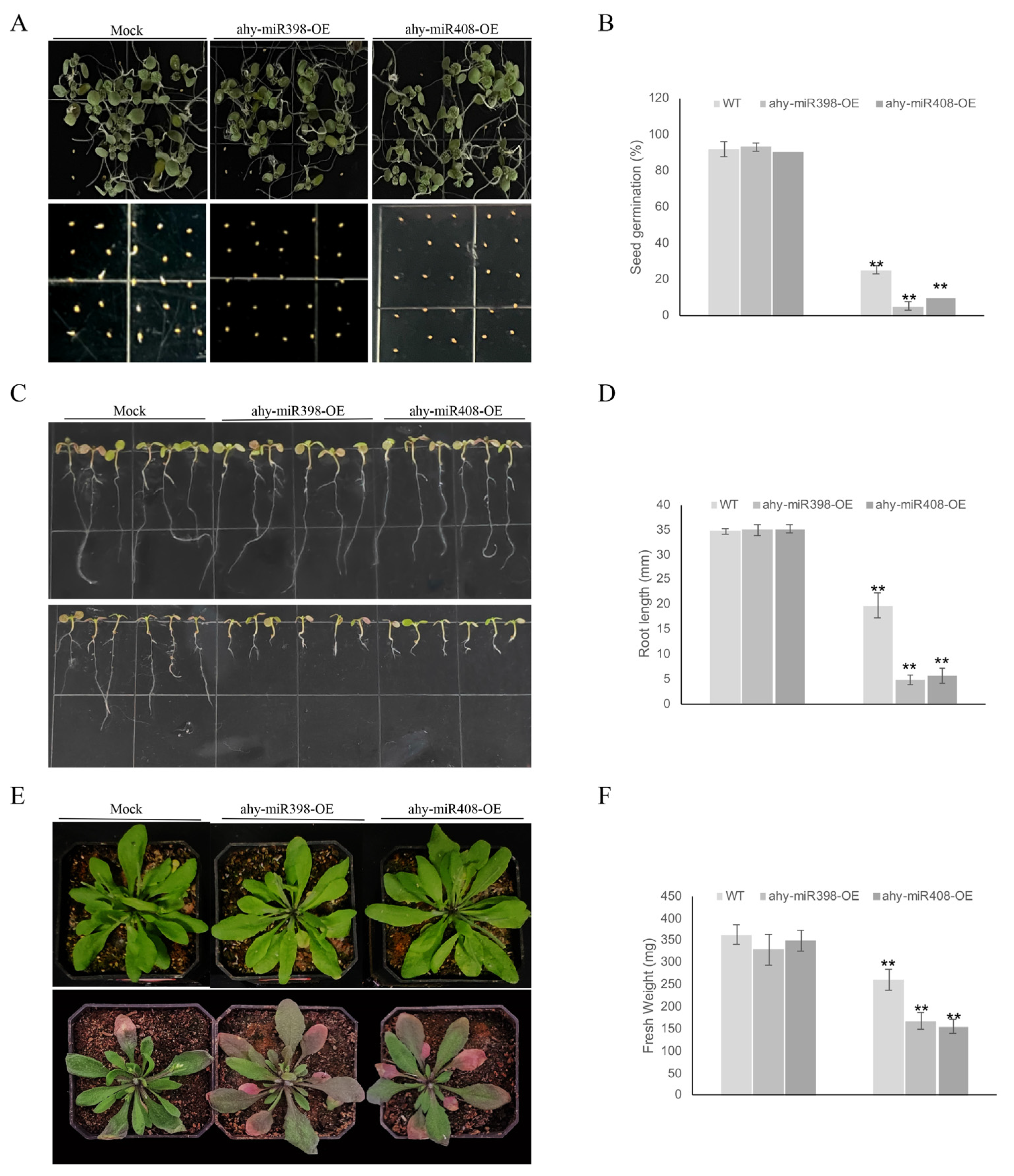 Agriculture 15 02190 g005