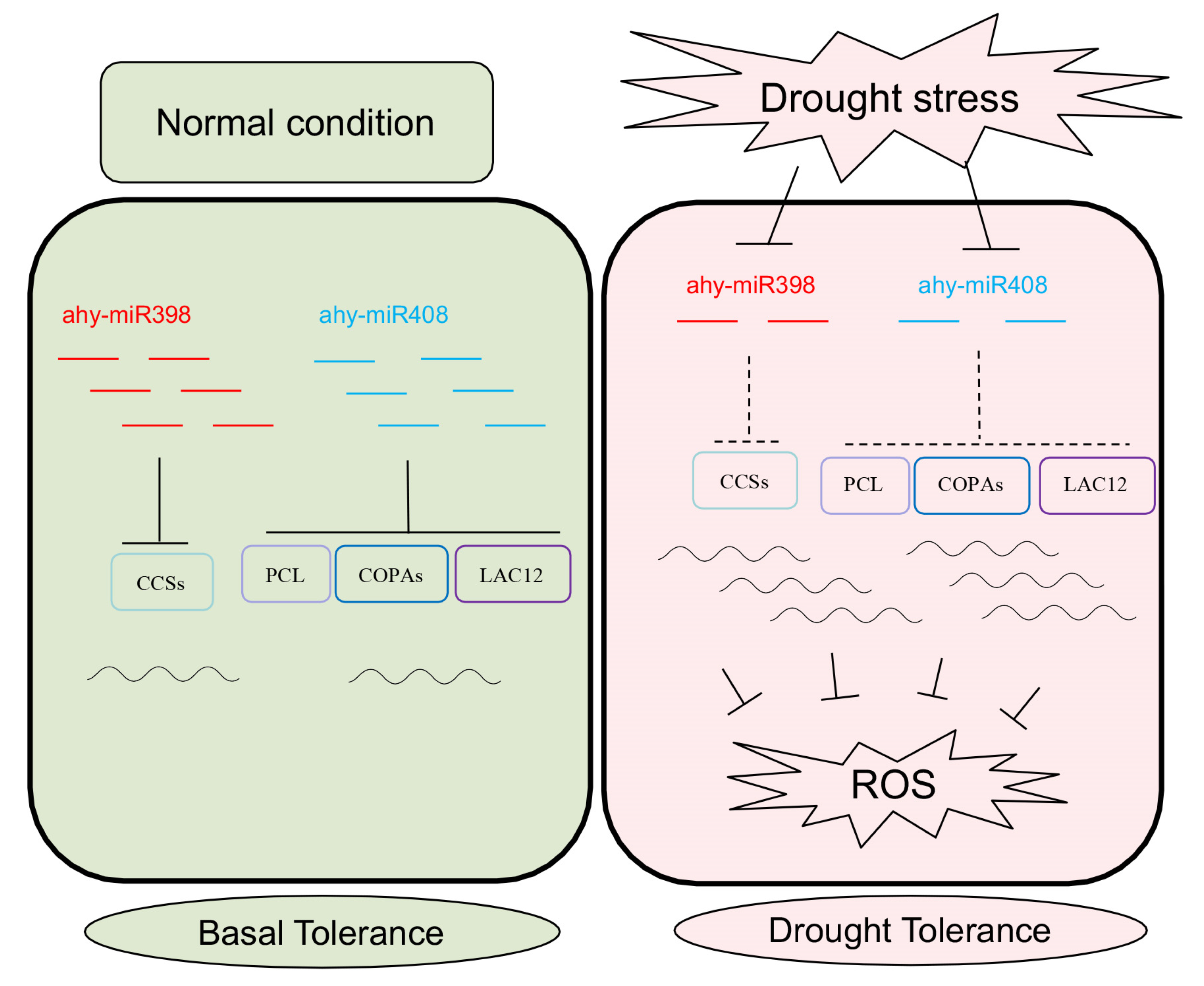 Agriculture 15 02190 g006