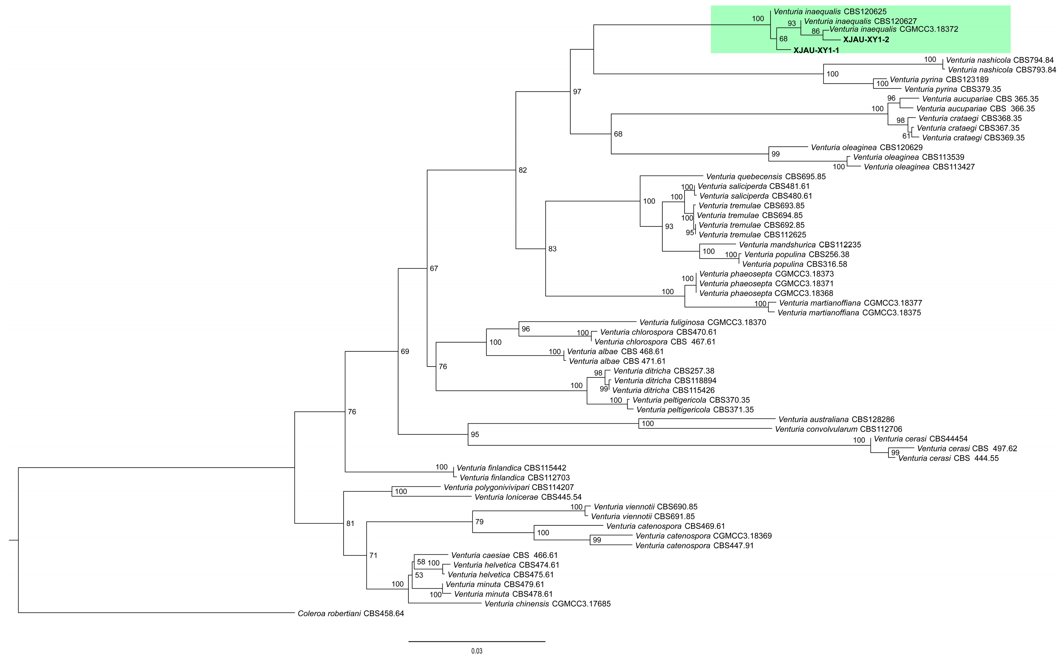 Agriculture 15 02199 g003 Agriculture 15 02199 g003