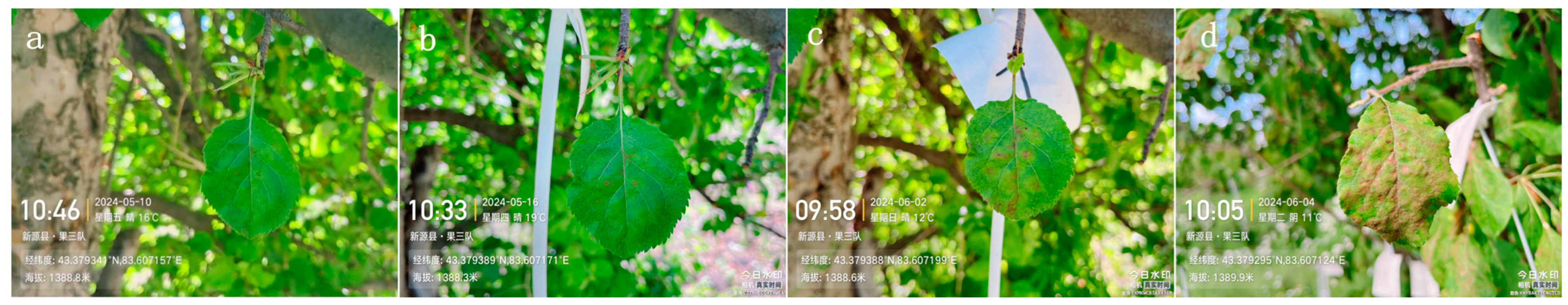 Agriculture 15 02199 g004 Agriculture 15 02199 g004